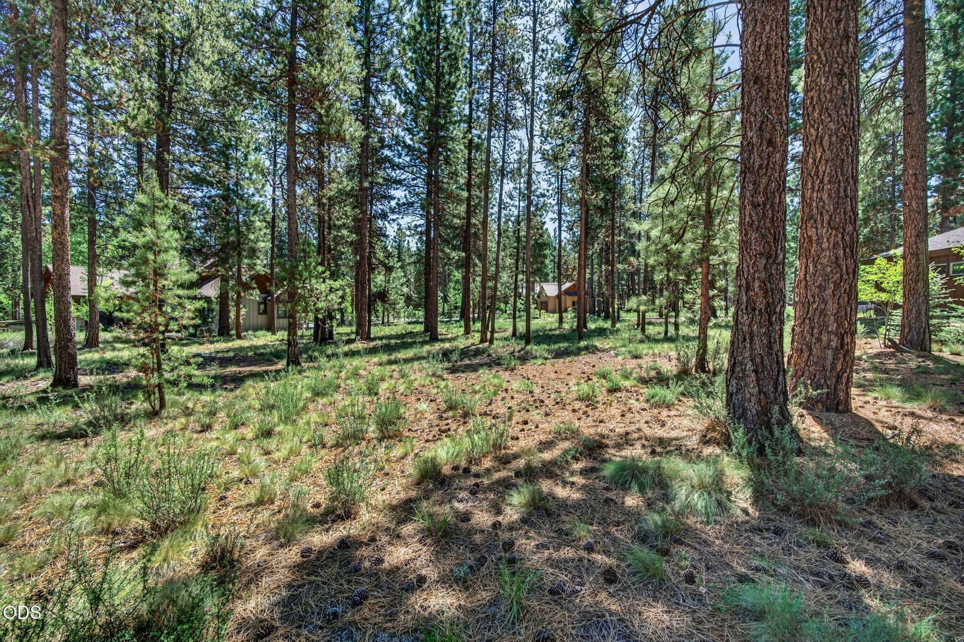 2026_06_02_56288_trailmere_circle-7. Photo 3 of 31, 56288 Trailmere Circle, Bend, OR 97707