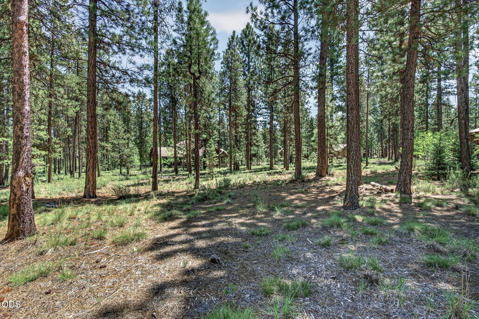 2026_06_02_56288_trailmere_circle-9. Photo 4 of 31, 56288 Trailmere Circle, Bend, OR 97707