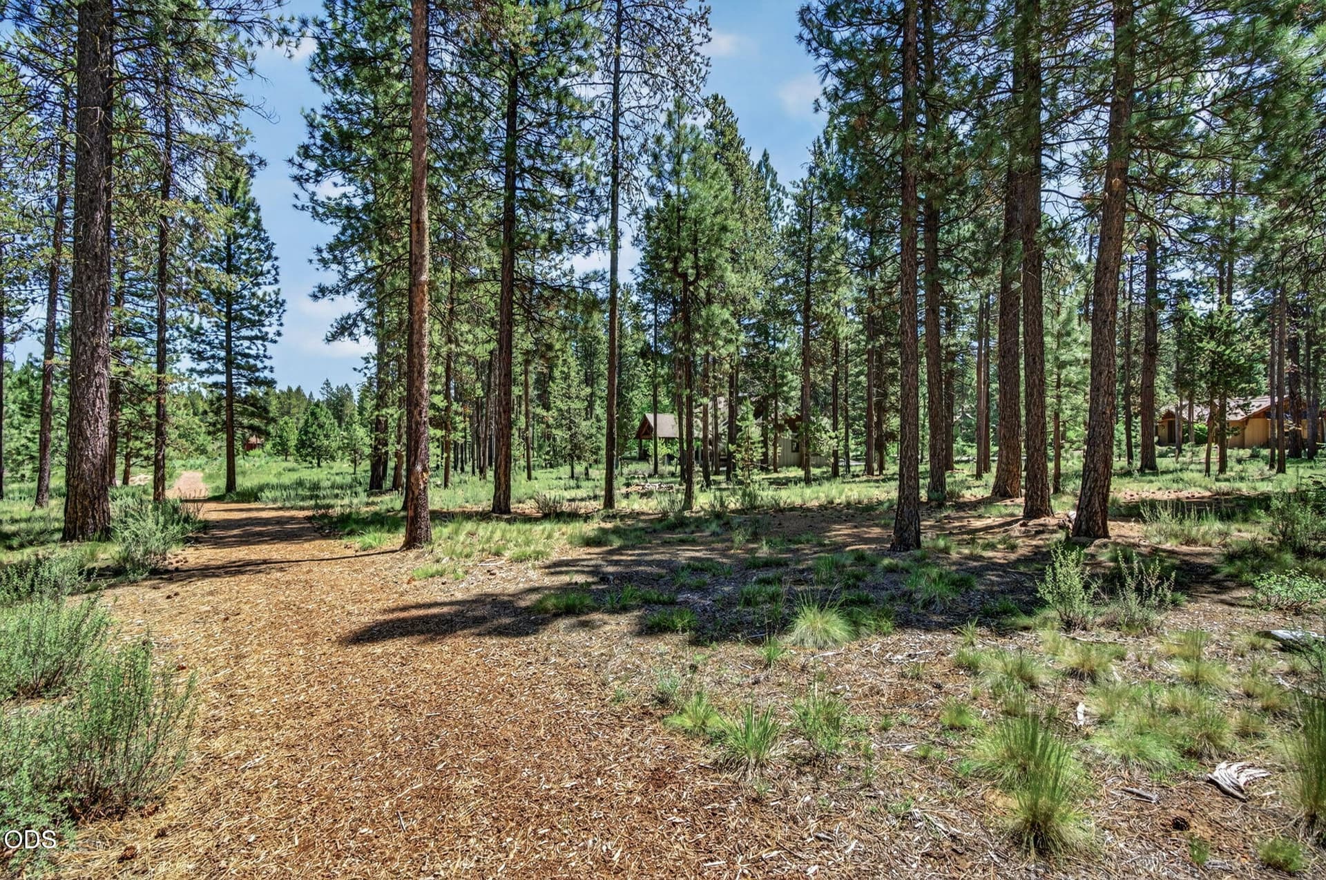 2026_06_02_56288_trailmere_circle-8. Photo 5 of 31, 56288 Trailmere Circle, Bend, OR 97707