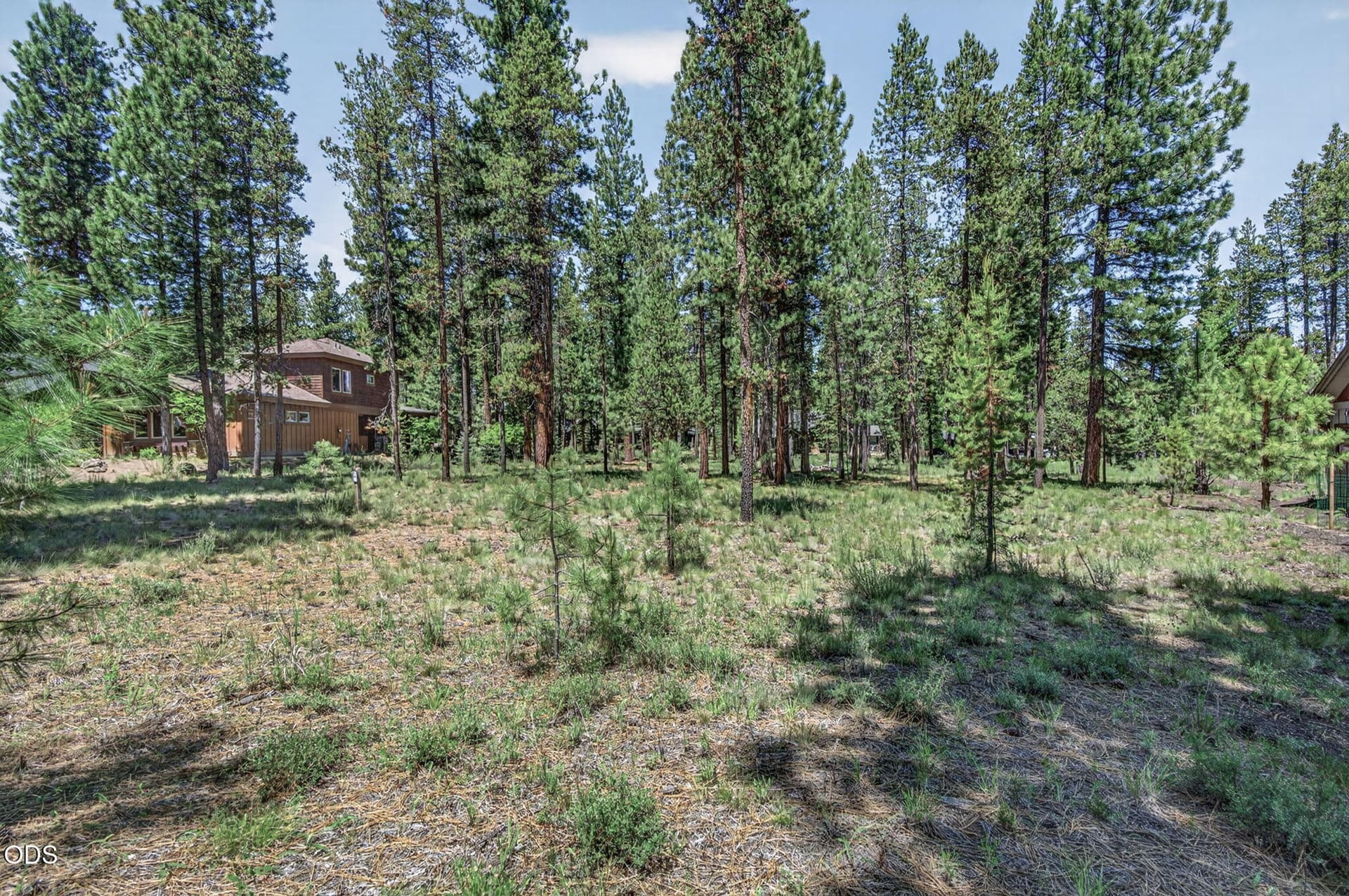 2026_06_02_56288_trailmere_circle-5. Photo 2 of 31, 56288 Trailmere Circle, Bend, OR 97707