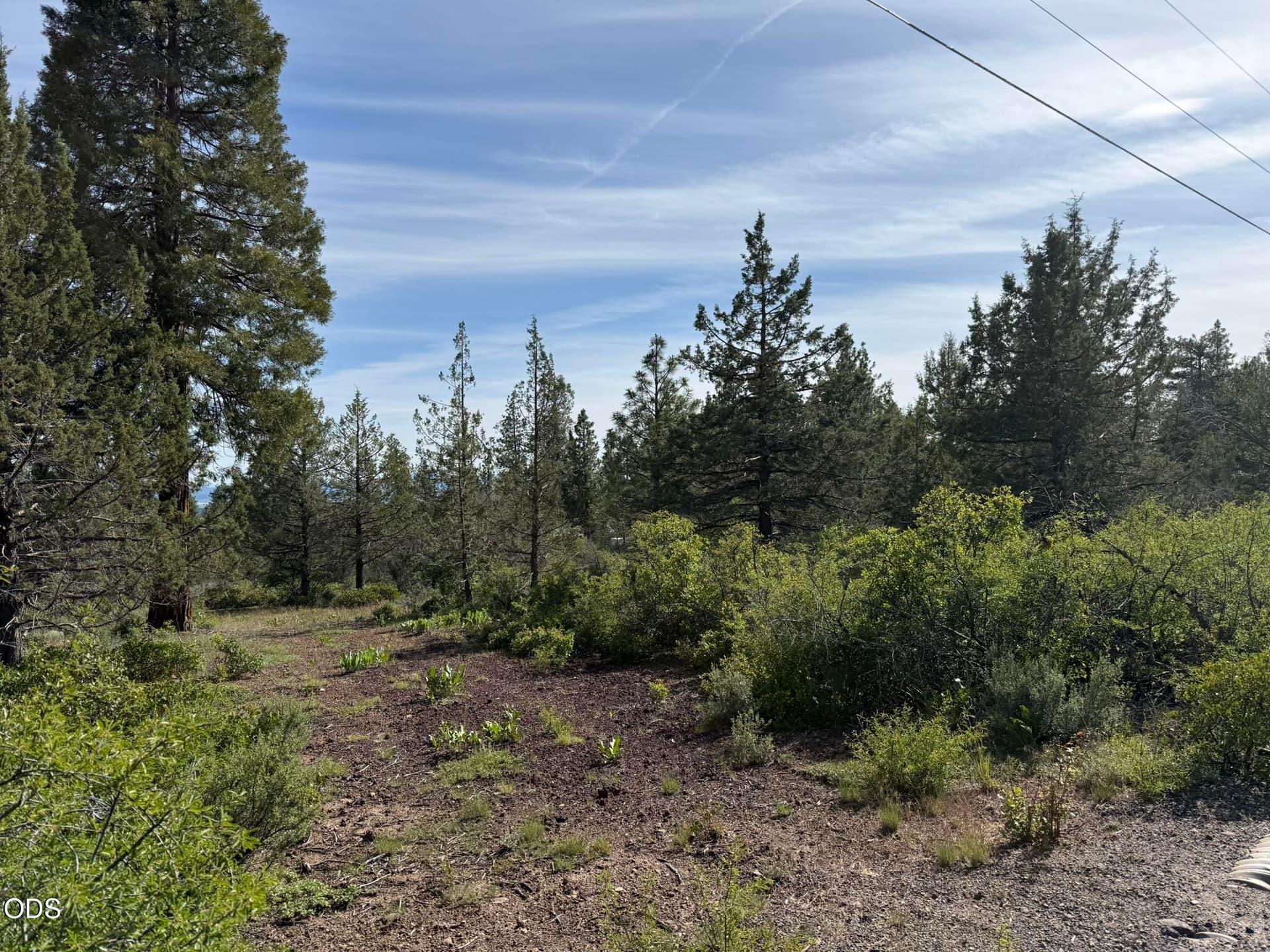 IMG_7147. Photo 2 of 11, 0 Porpoise Lane Unit Lot 29, Bonanza, OR 97623