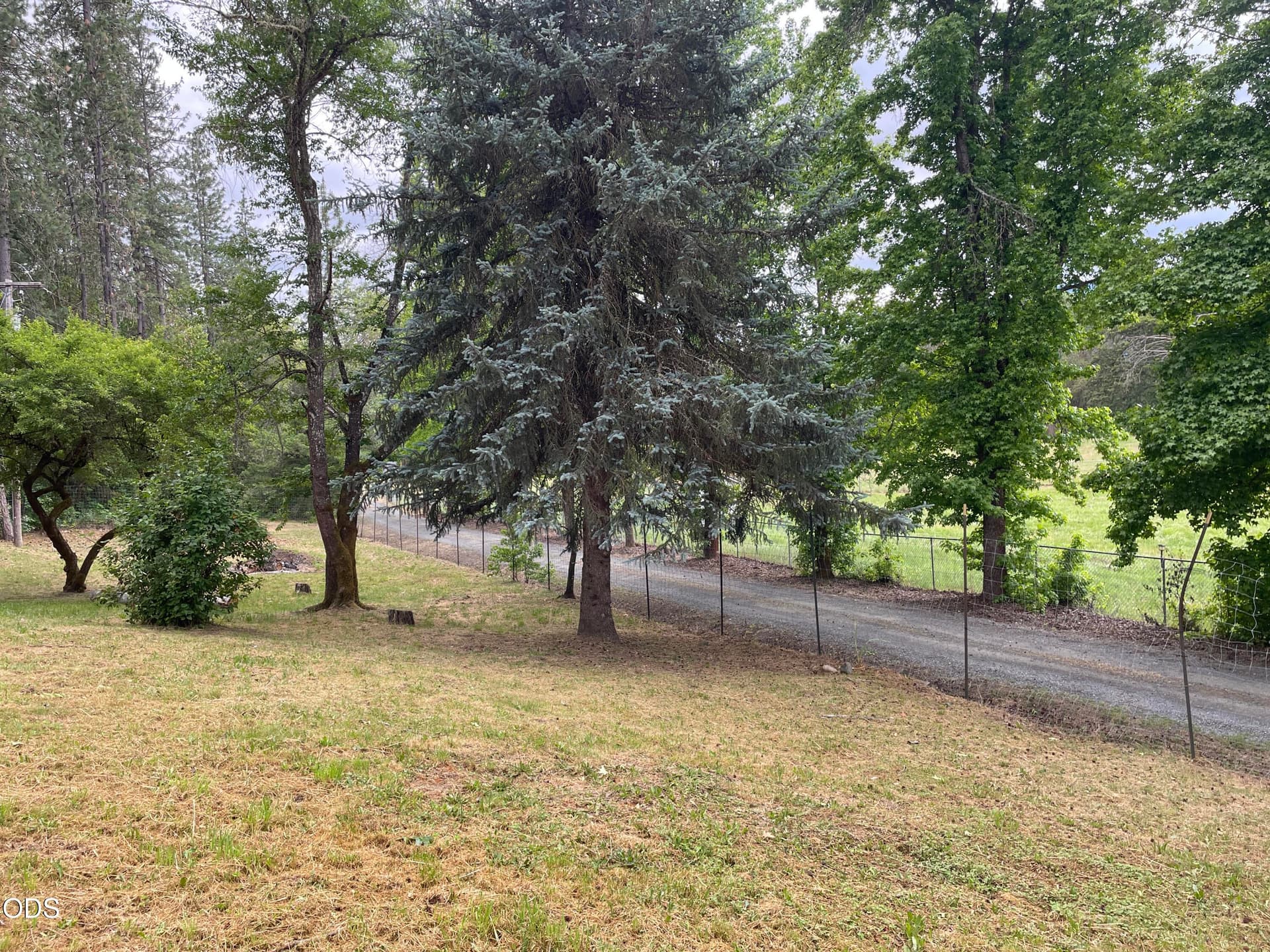 Tree-linedDrive. Photo 4 of 56, 782 Covered Bridge Road, Rogue River, OR 97537