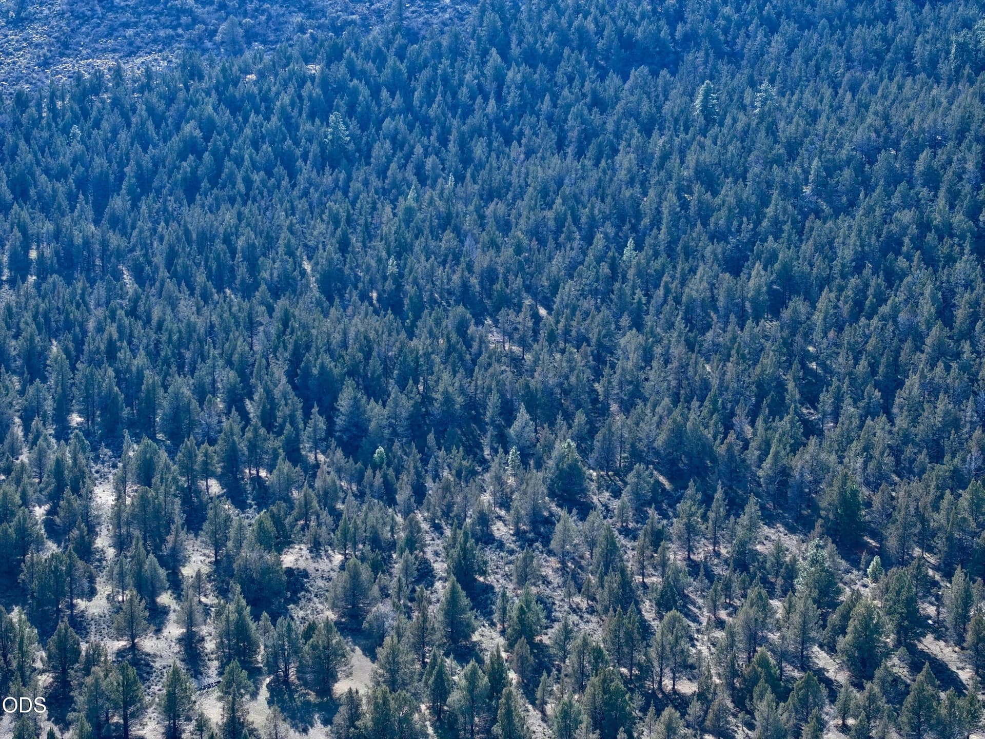 IMG_5830. Photo 2 of 8, 0 Bear Valley Road, Keno, OR 97627