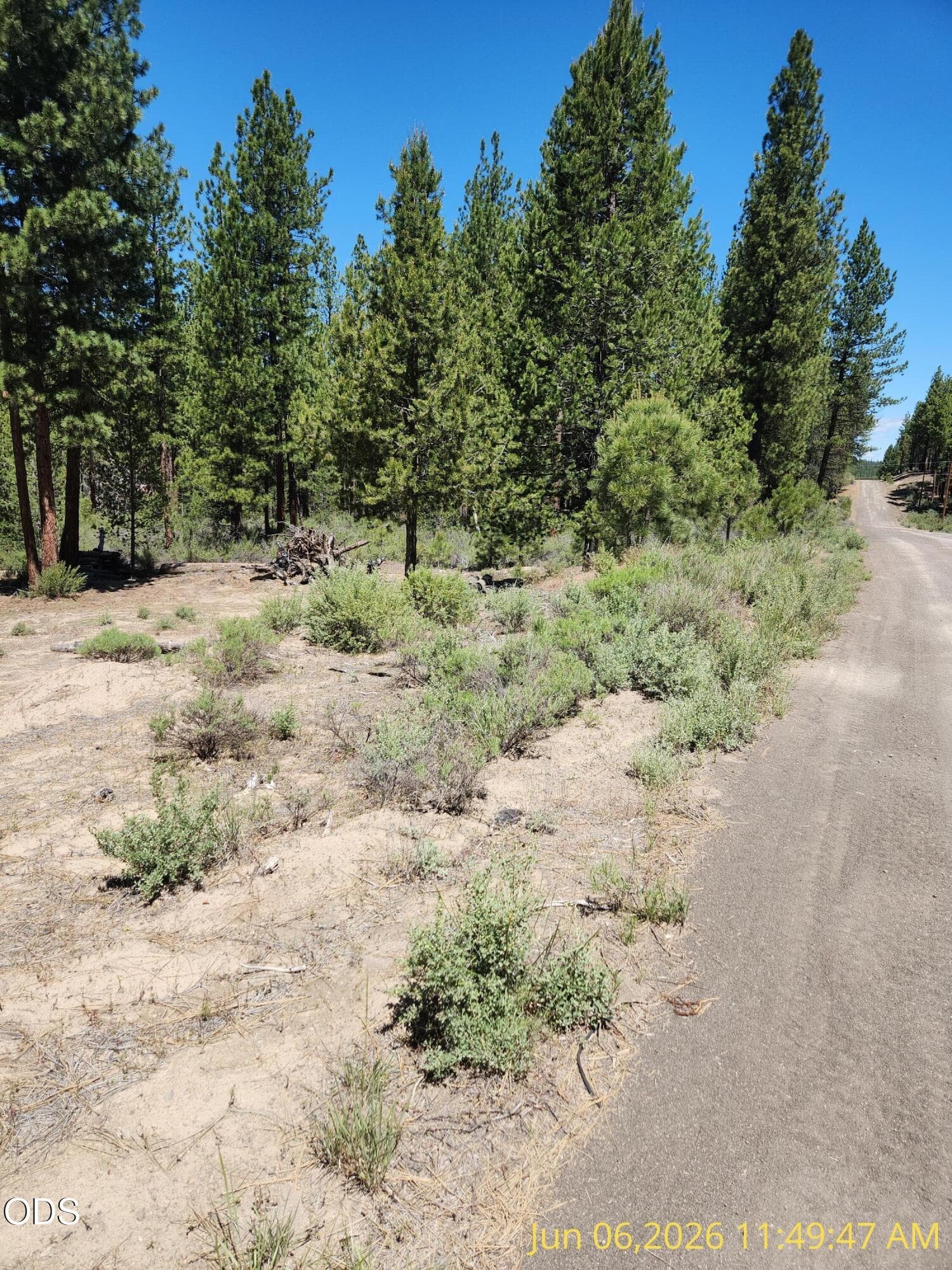 1000010527. Photo 3 of 15, 0 Green Forest Drive Unit 22, Chiloquin, OR 97624
