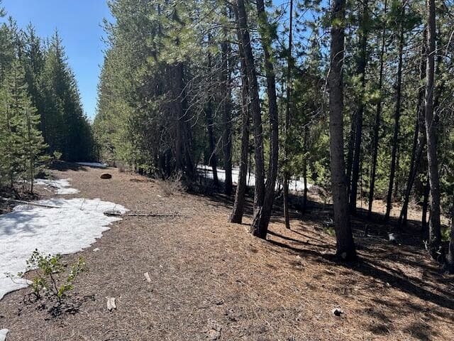 IMG_8231. Photo 2 of 6, 33 Emerald Meadows Way, Crescent Lake, OR 97733