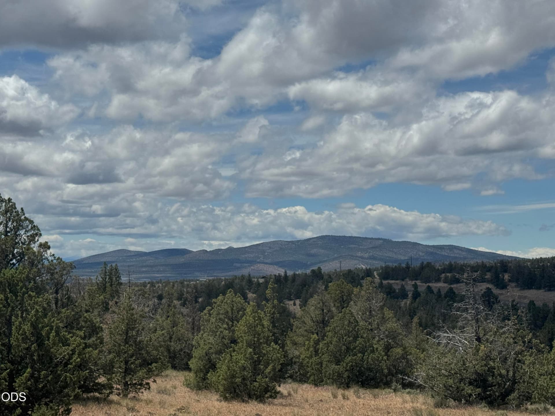 IMG_9898. Photo 4 of 14, SE Texas Circle Unit 52, Prineville, OR 97754