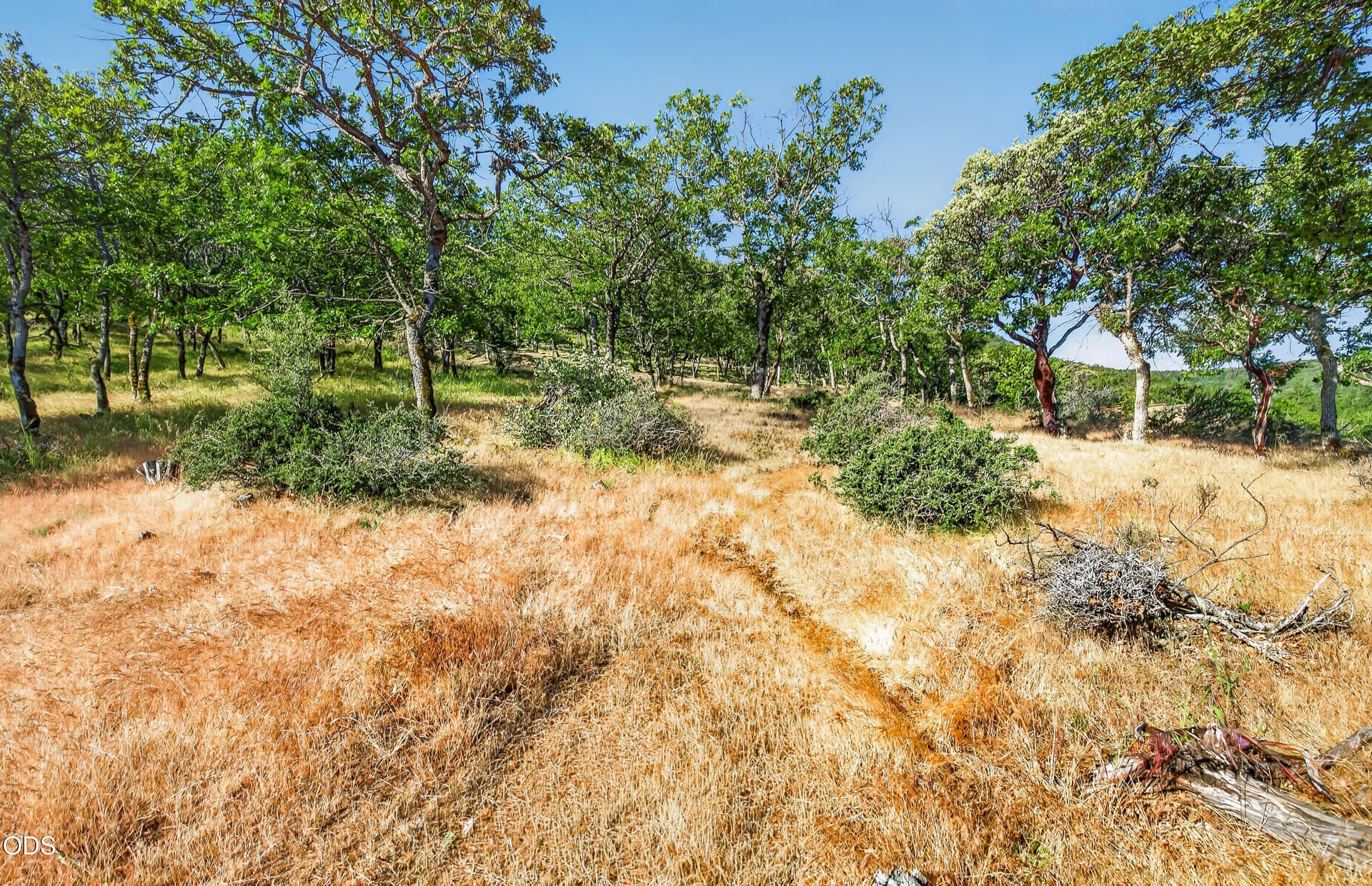 9R9A8345. Photo 2 of 19, 163 Hitt Road, Ashland, OR 97520
