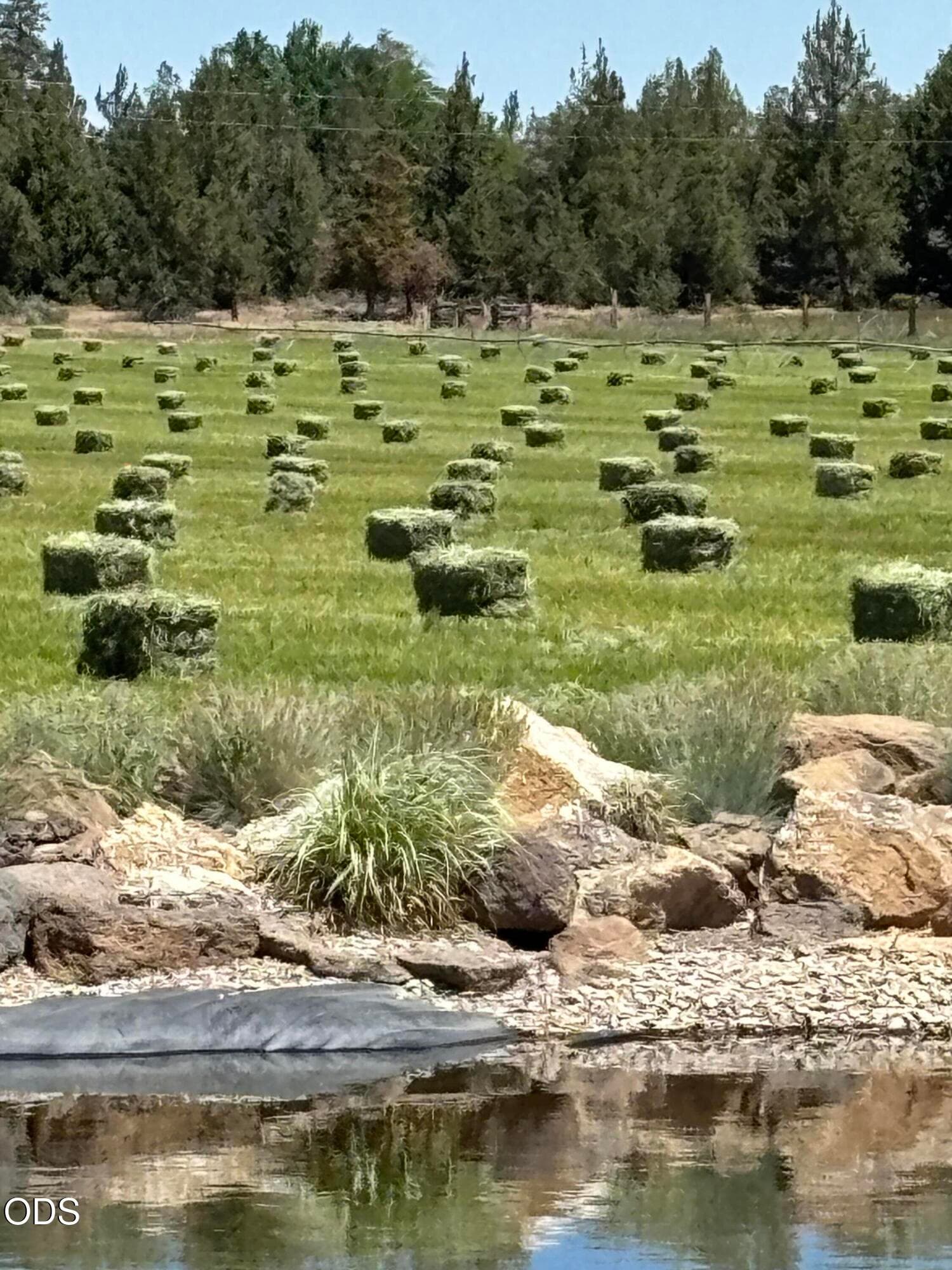 Property with Hay Production. Photo 5 of 49, 5755 SW Obsidian Avenue, Redmond, OR 97756