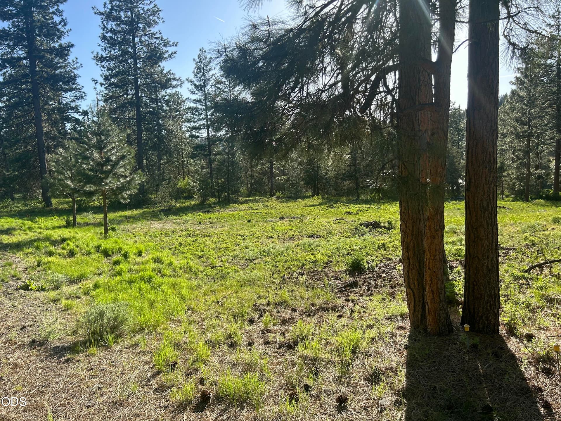 IMG_2504. Photo 4 of 7, 1082 Paper Birch Way, Klamath Falls, OR 97601
