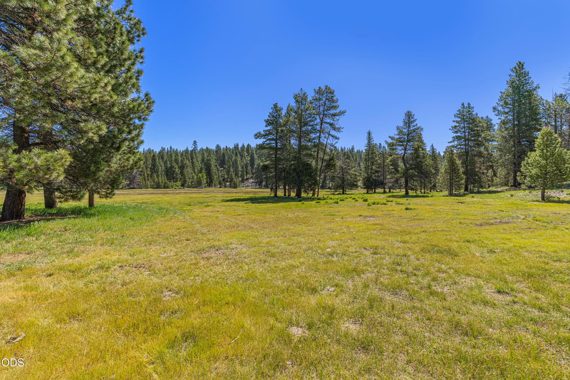 ChiloquinRanchLand-4. Photo 5 of 59, Williamson River Road Unit 206226, Chiloquin, OR 97624