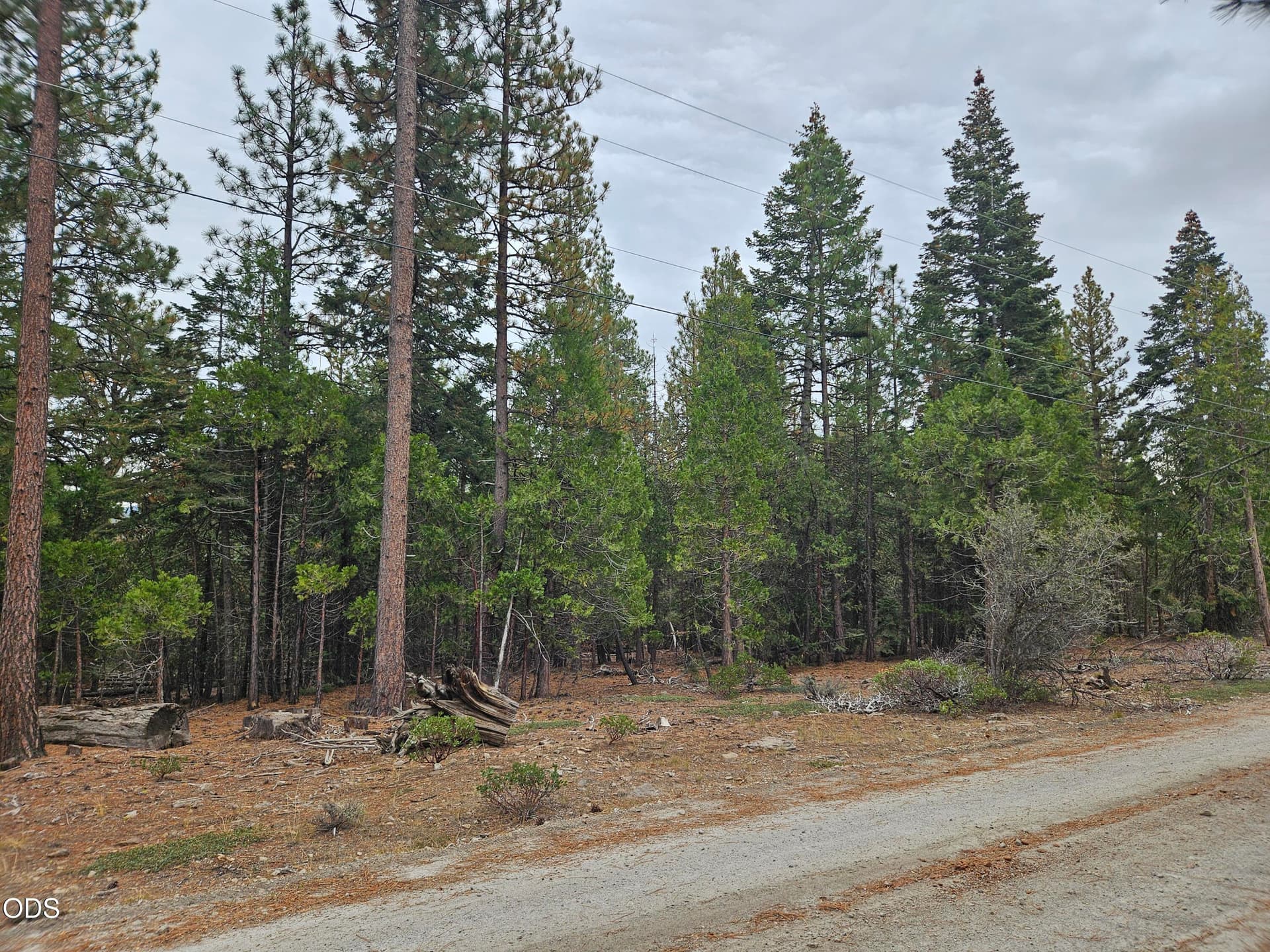 20251012_154318. Photo 2 of 13, 0 Blackbird Drive Unit Lots 33, 34, 35, Bonanza, OR 97623