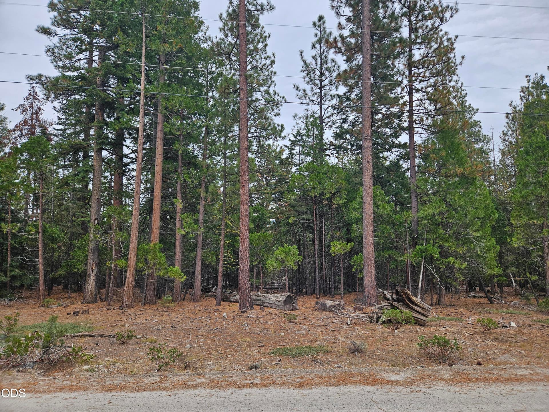 20251012_154322. Photo 1 of 13, 0 Blackbird Drive Unit Lots 33, 34, 35, Bonanza, OR 97623