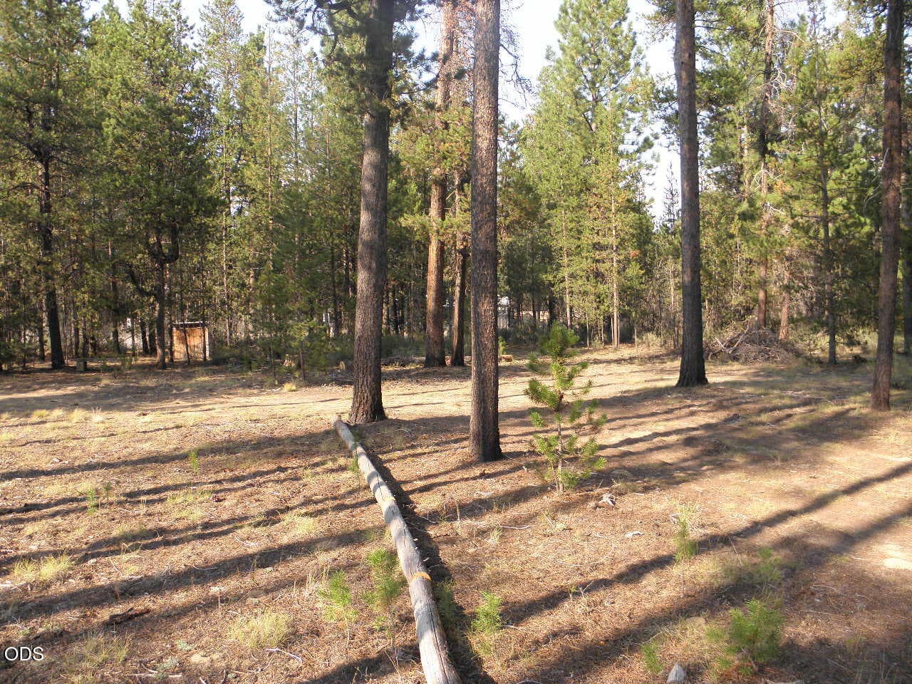 Single Acre, bathouse, metal shed,pumpho. Photo 5 of 10, 15845 Twin Drive, La Pine, OR 97739
