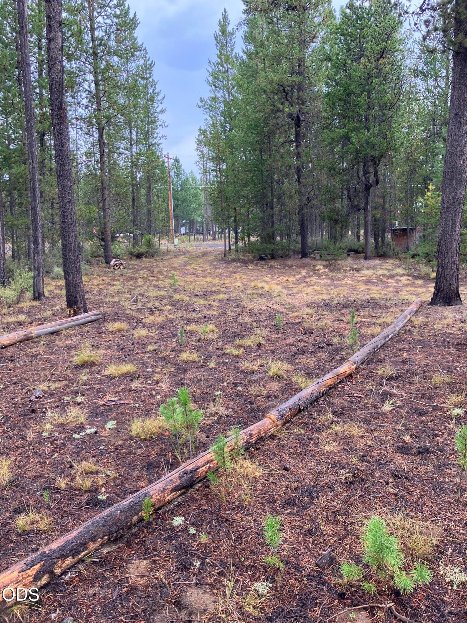 Single Acre, bathouse, metal shed,pumpho. Photo 3 of 10, 15845 Twin Drive, La Pine, OR 97739