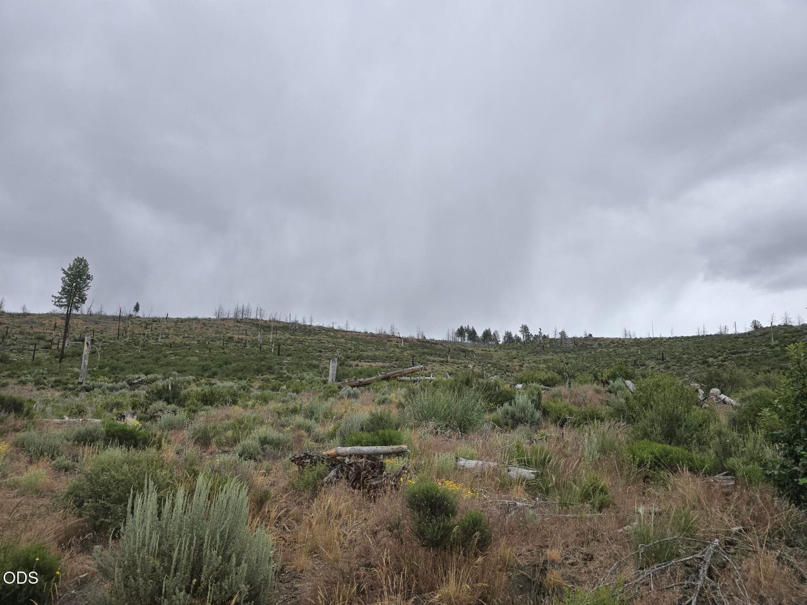 Front. Photo 1 of 7, Ram Road Unit 30, Chiloquin, OR 97624