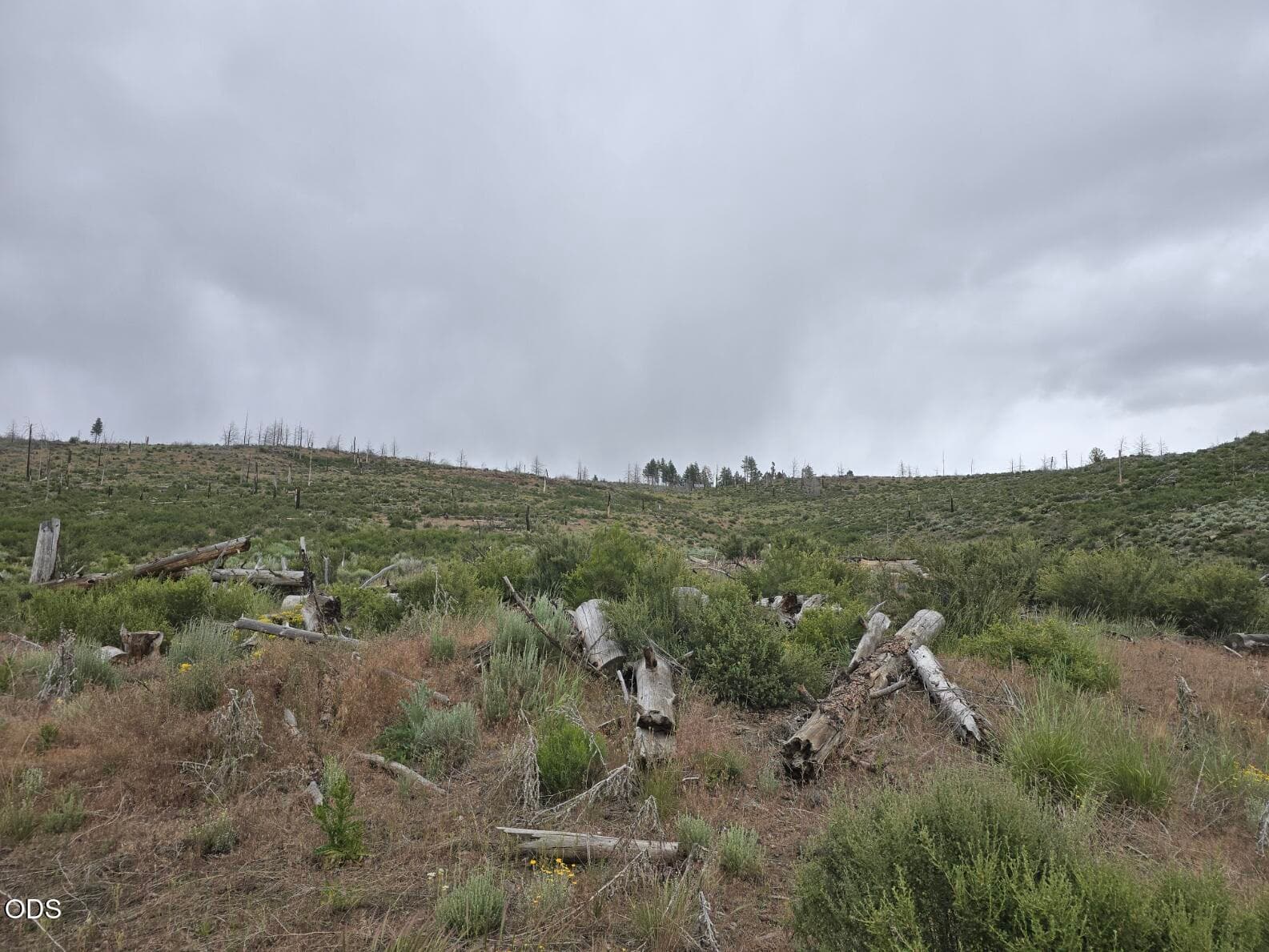 20250621_152648. Photo 2 of 7, Ram Road Unit 30, Chiloquin, OR 97624
