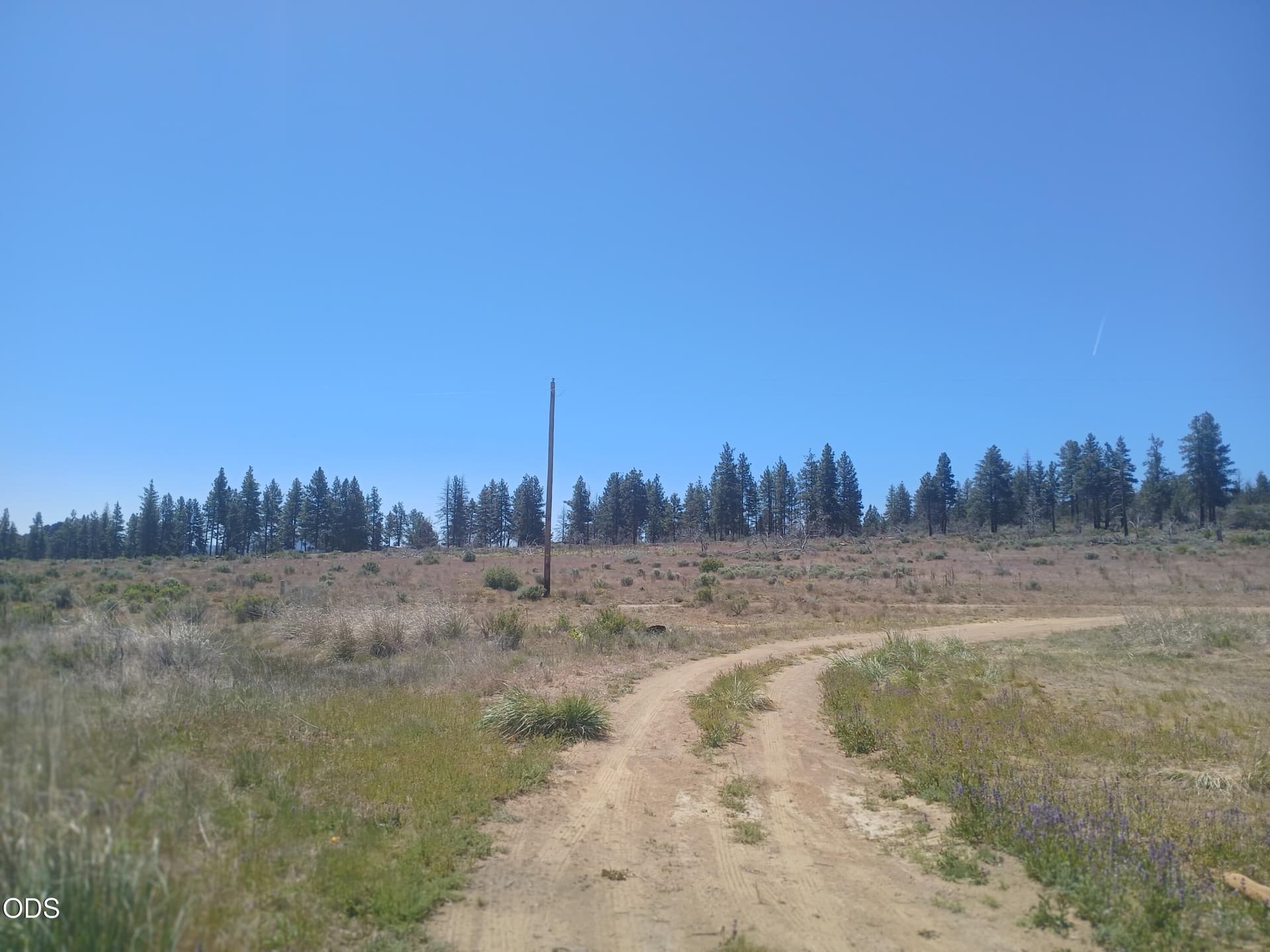 Driveway. Photo 4 of 19, 24425 Pheasant Lane, Chiloquin, OR 97624