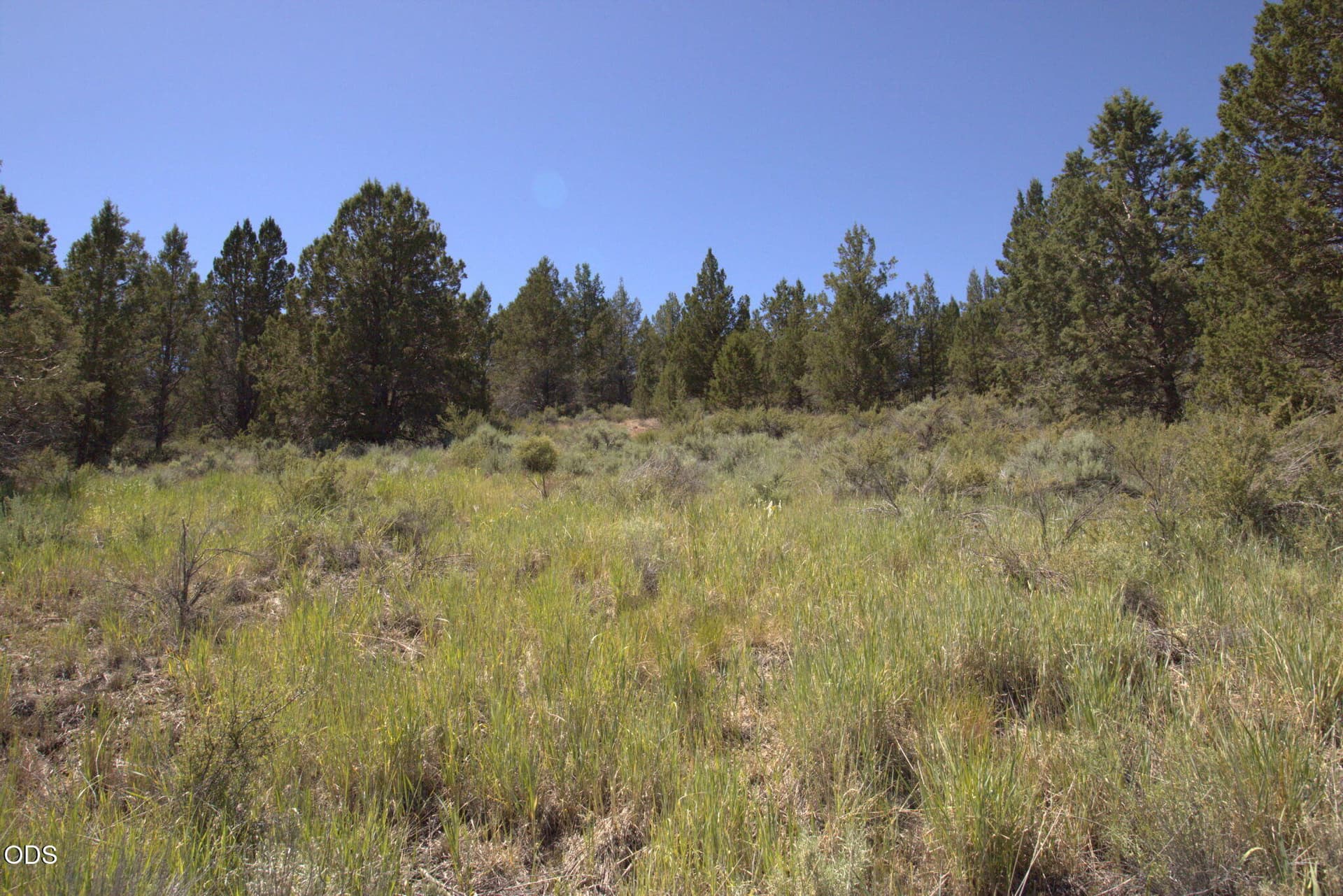 1000021180. Photo 1 of 5, Wasco Street Unit Lot 3, Sprague River, OR 97639