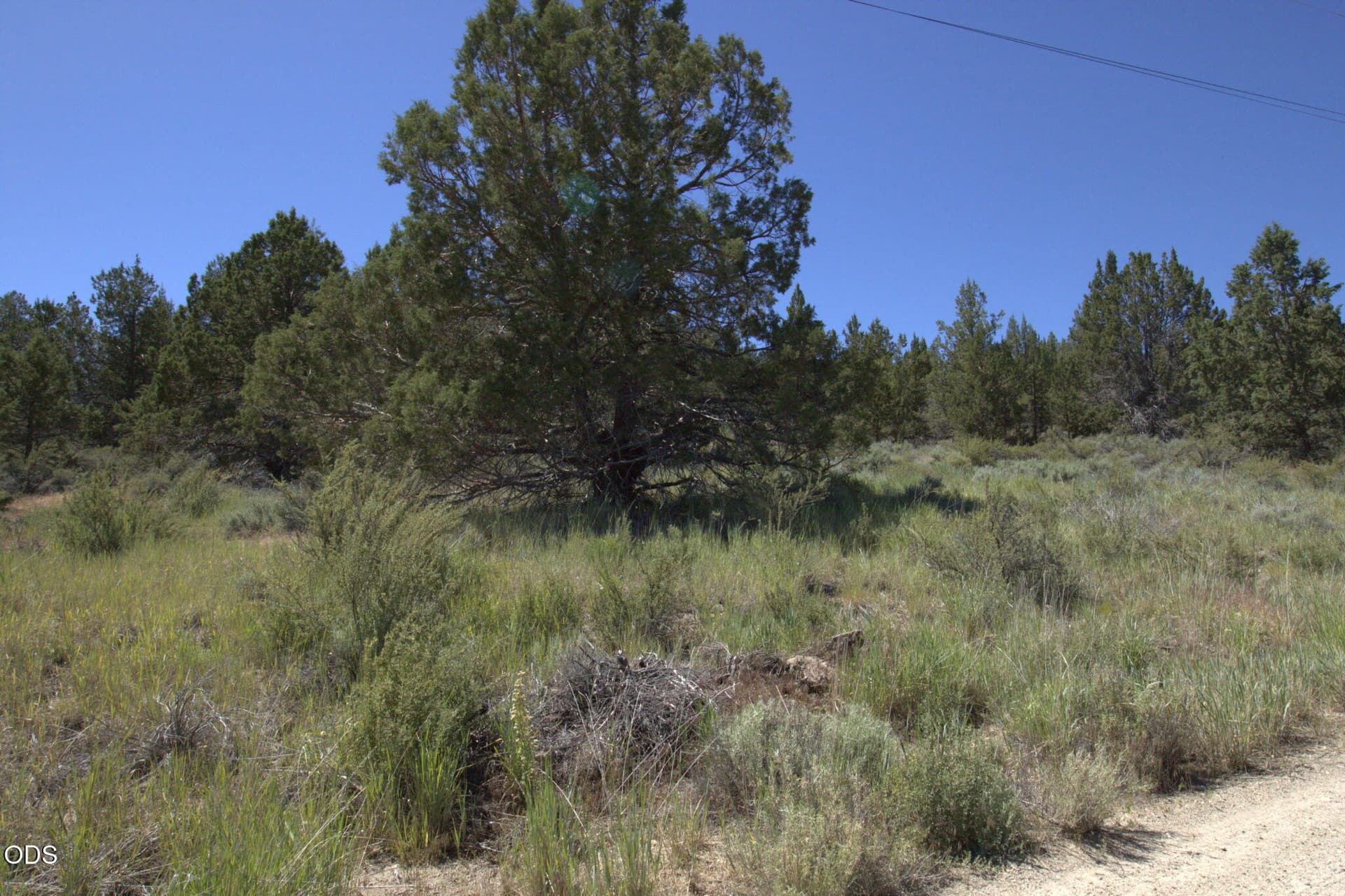 1000021179. Photo 3 of 5, Wasco Street Unit Lot 3, Sprague River, OR 97639