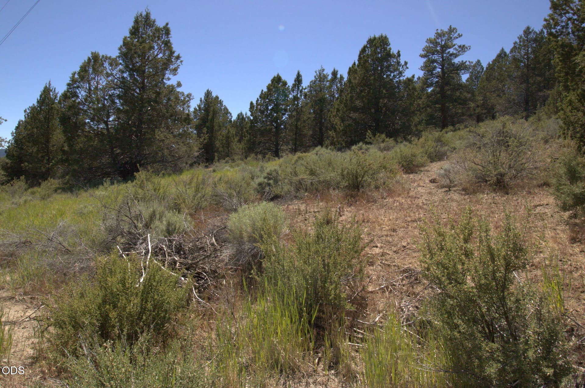 1000021178. Photo 5 of 5, Wasco Street Unit Lot 3, Sprague River, OR 97639