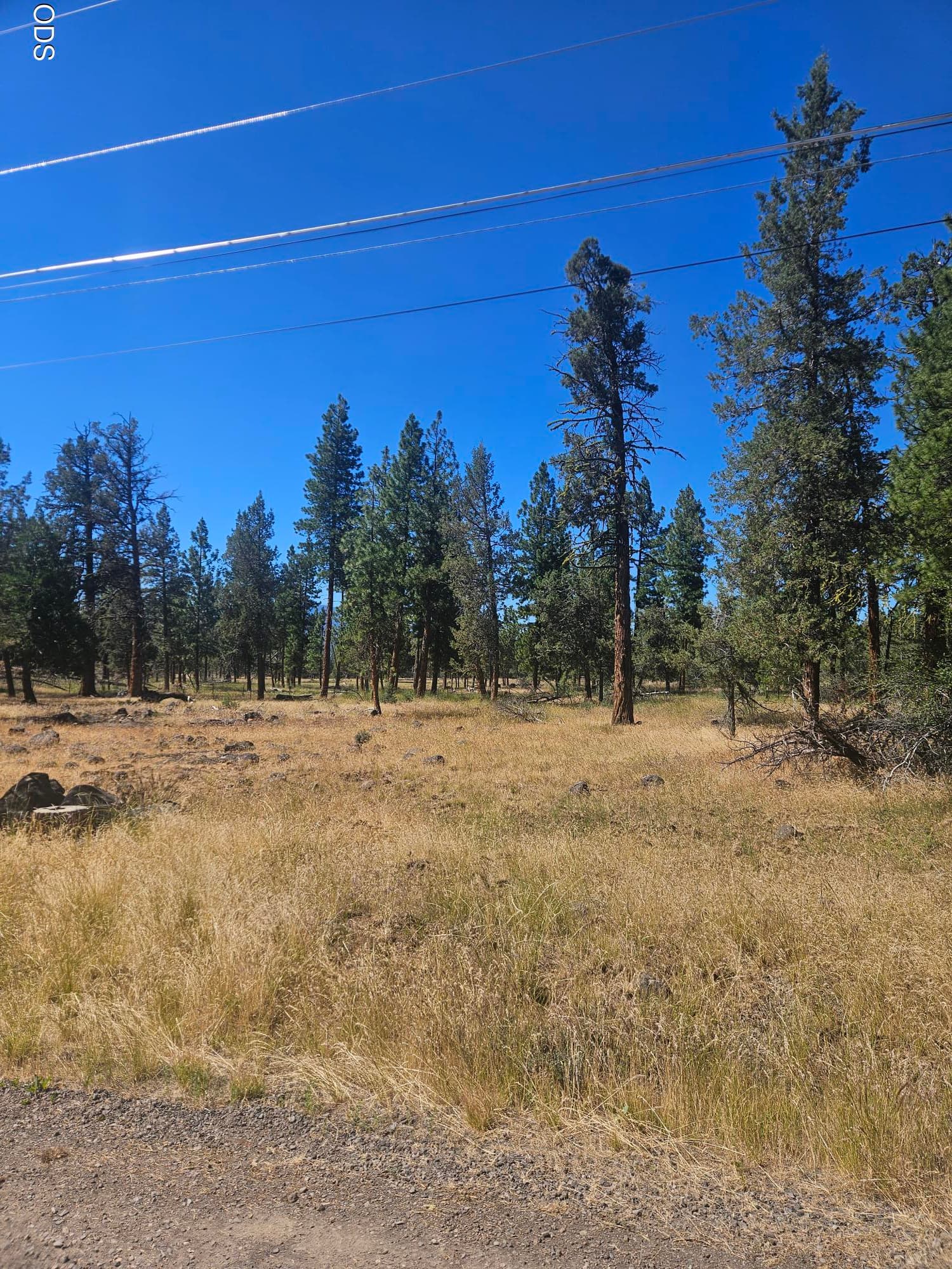 Lot. Photo 2 of 8, 0 J F Goeller Way Unit Lot 13, Keno, OR 97627