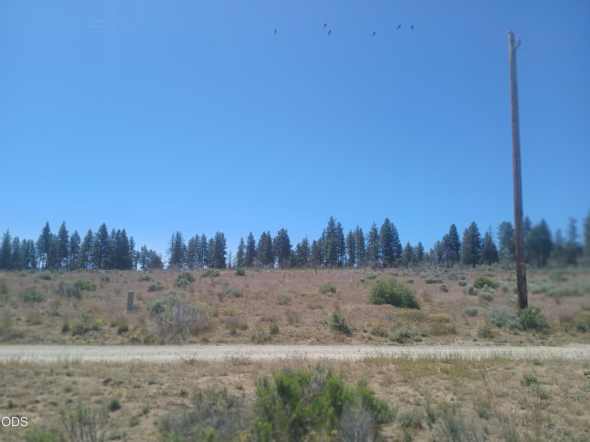 Utilities at street. Photo 3 of 19, 24425 Pheasant Lane, Chiloquin, OR 97624