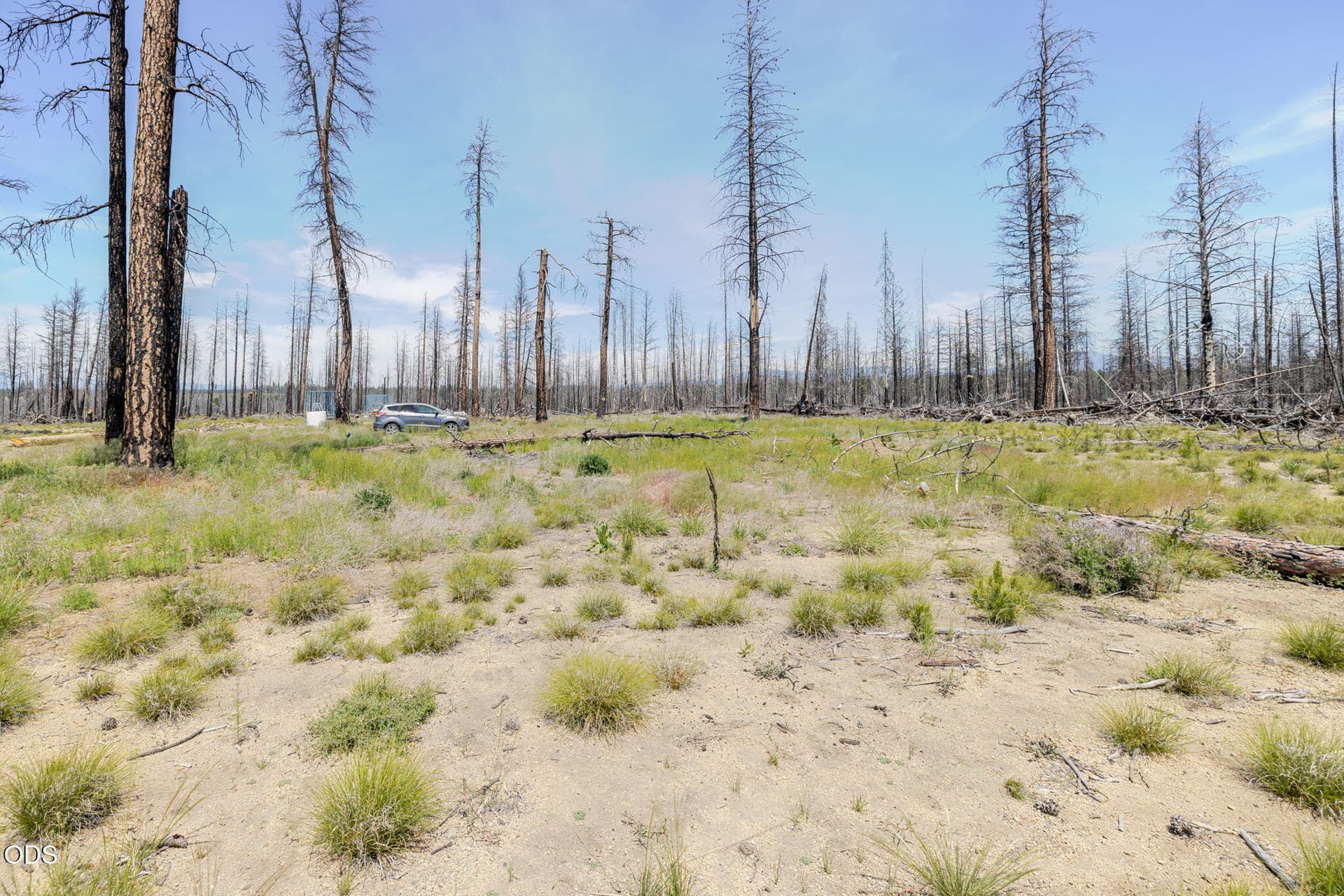 5. Photo 5 of 6, 50146 Darlene Way, La Pine, OR 97739