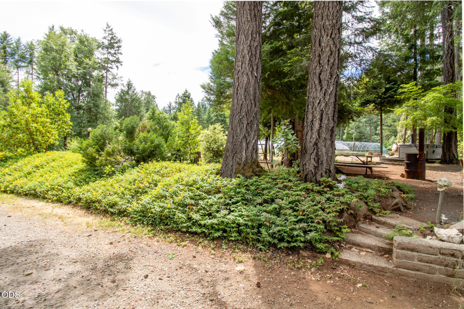 290-3. Photo 4 of 19, 290 Crest Drive, Cave Junction, OR 97523