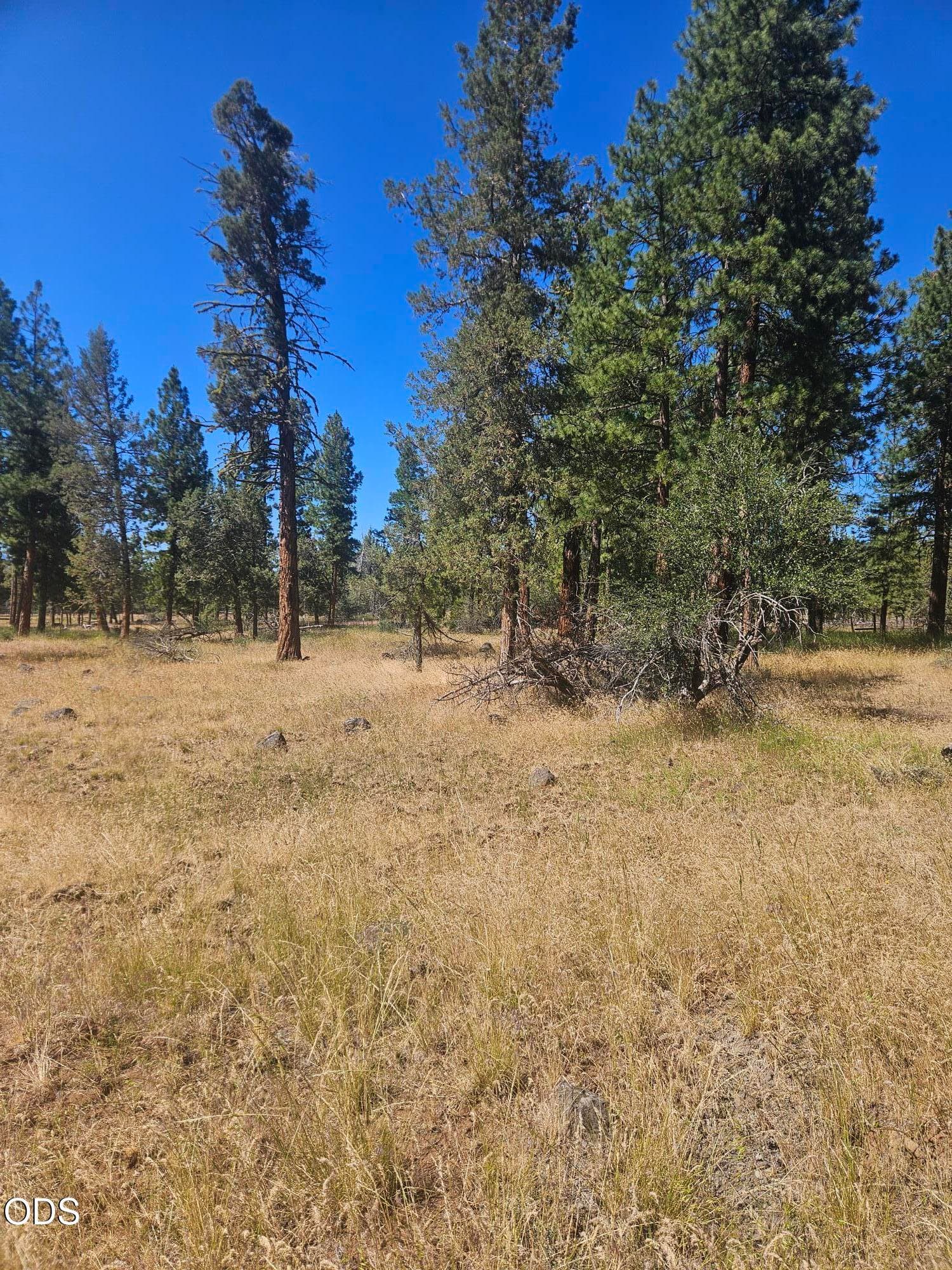 20260613_154809. Photo 4 of 8, 0 J F Goeller Way Unit Lot 13, Keno, OR 97627