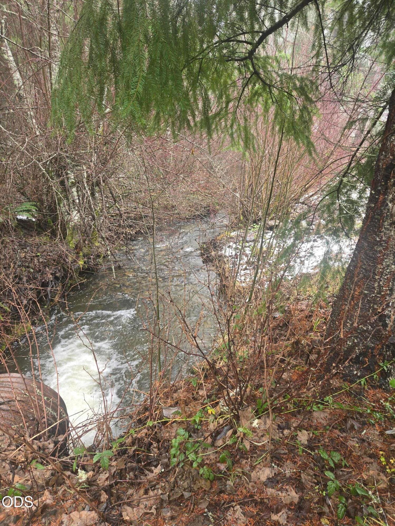 5. Photo 5 of 39, Upper Joe Creek Road Unit 5200, Grants Pass, OR 97526