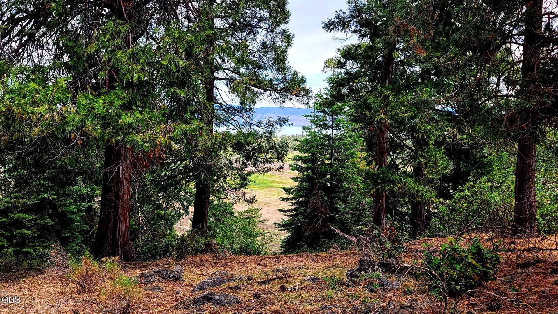 20260618_121647. Photo 4 of 11, 0 Kestrel Road Unit Lot 174, Klamath Falls, OR 97601