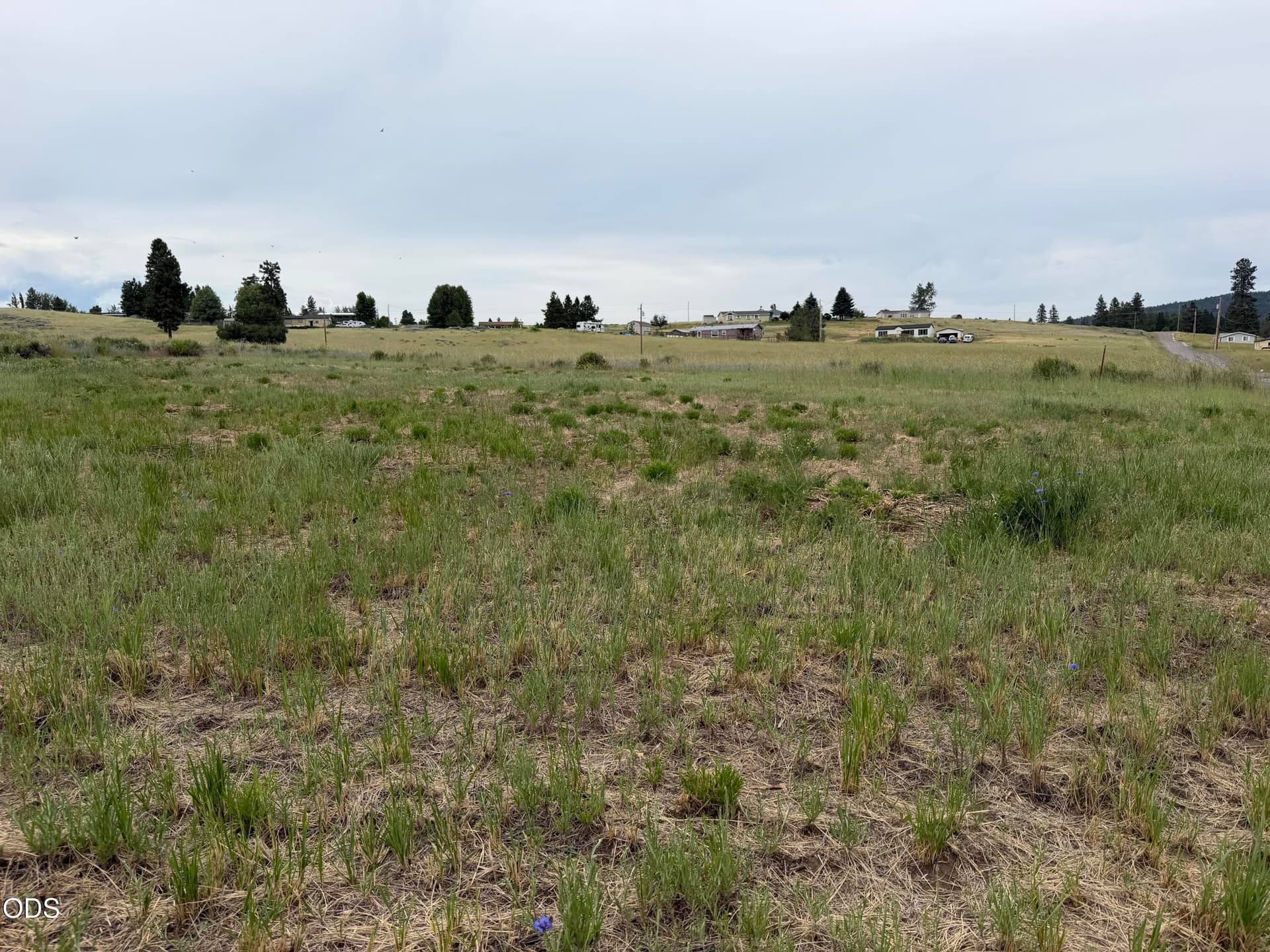 IMG_9330. Photo 2 of 7, Sundance Drive Unit Lot 24, Chiloquin, OR 97624