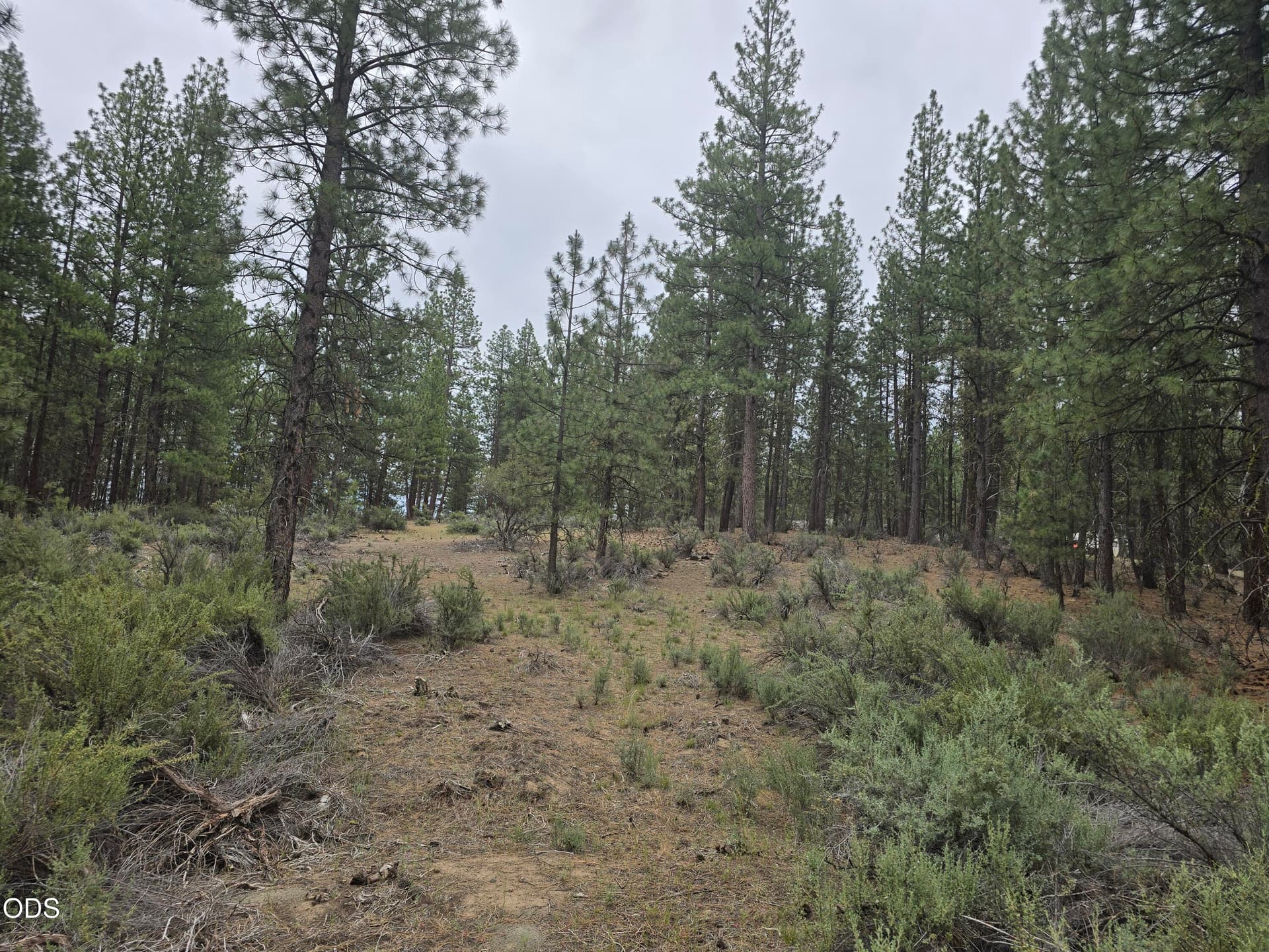 20260619_115945. Photo 2 of 10, 0 Elde Street Unit 20, Chiloquin, OR 97624
