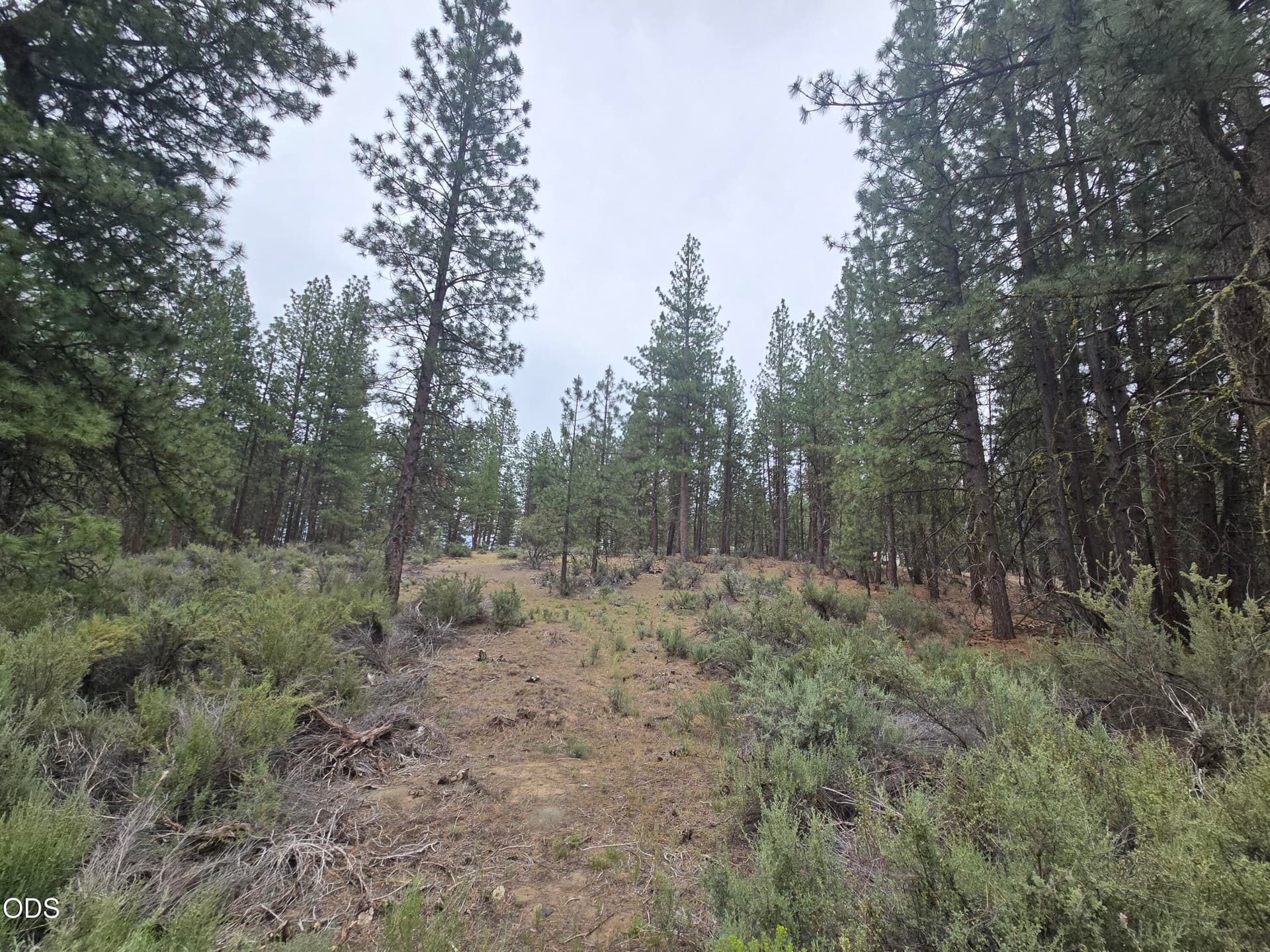 20260619_115959. Photo 1 of 10, 0 Elde Street Unit 20, Chiloquin, OR 97624