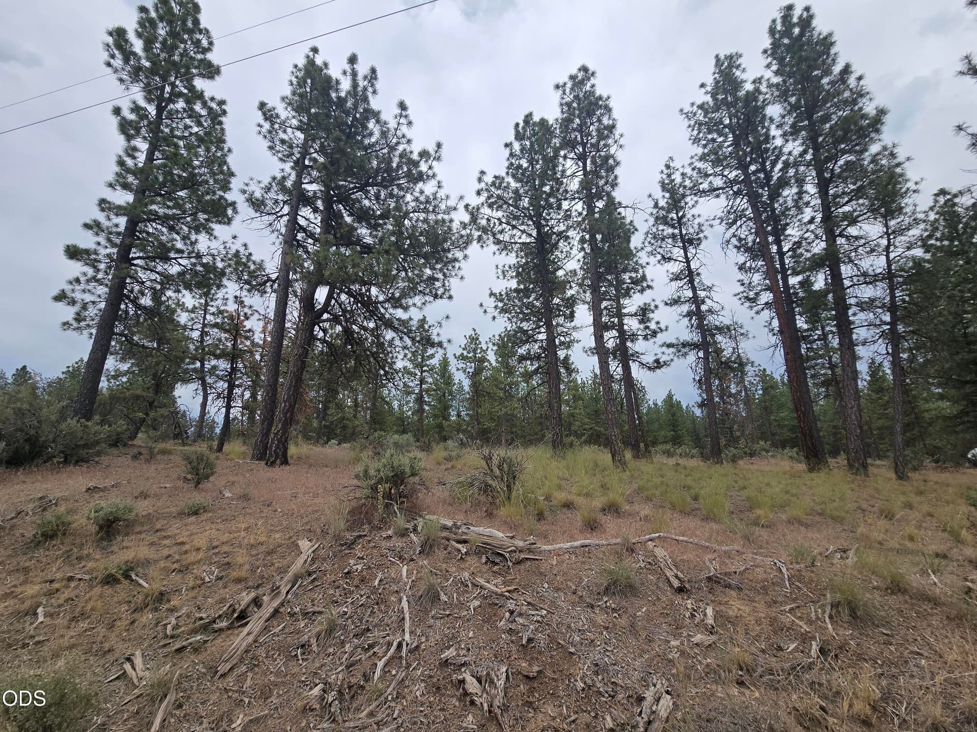 20260619_115322. Photo 2 of 13, Elde Street Unit 24, Chiloquin, OR 97624