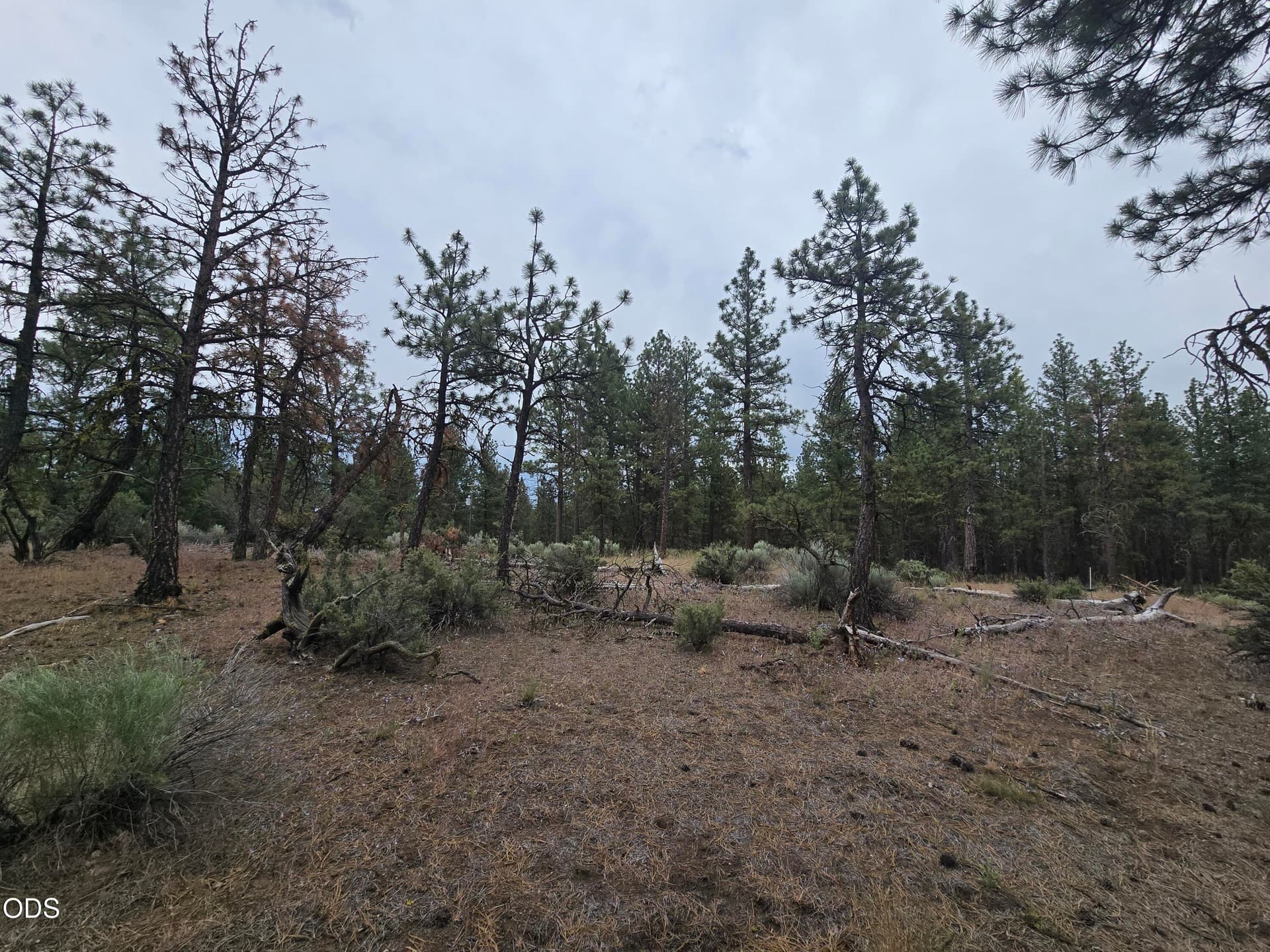 20260619_115416. Photo 4 of 13, Elde Street Unit 24, Chiloquin, OR 97624