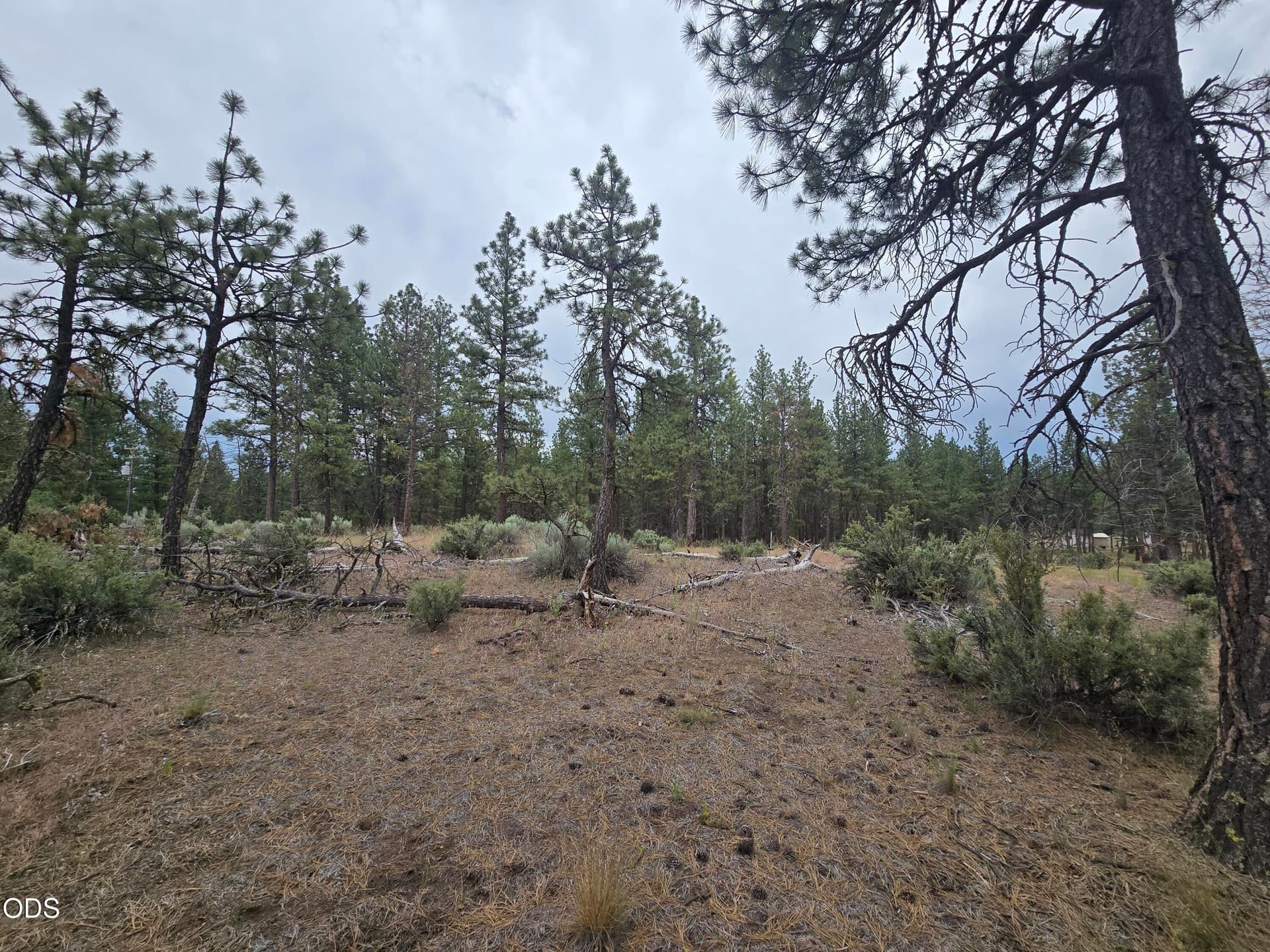 20260619_115418. Photo 1 of 13, Elde Street Unit 24, Chiloquin, OR 97624