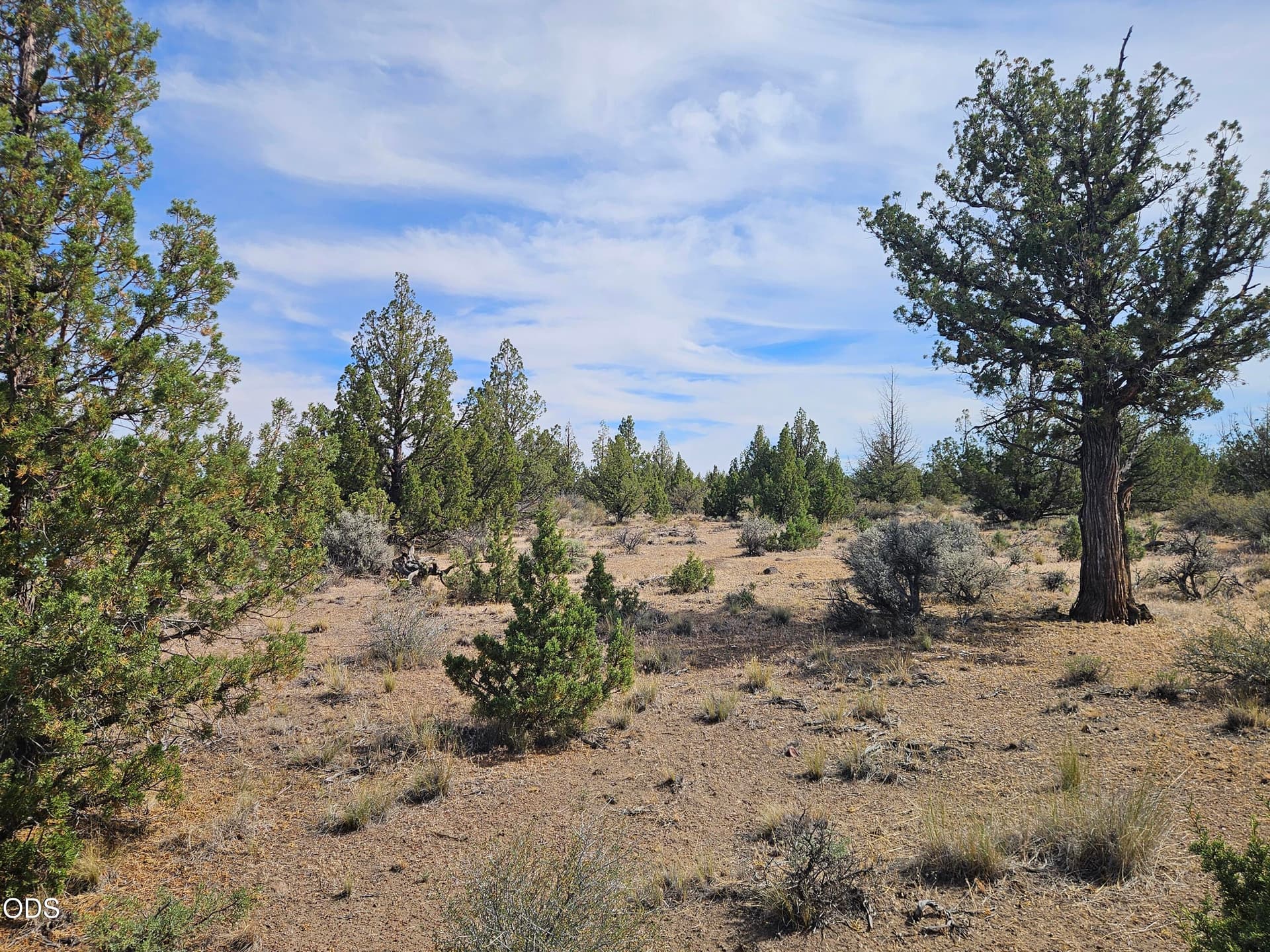 20260620_101307. Photo 3 of 9, 253 NW Maple Lane, Prineville, OR 97754