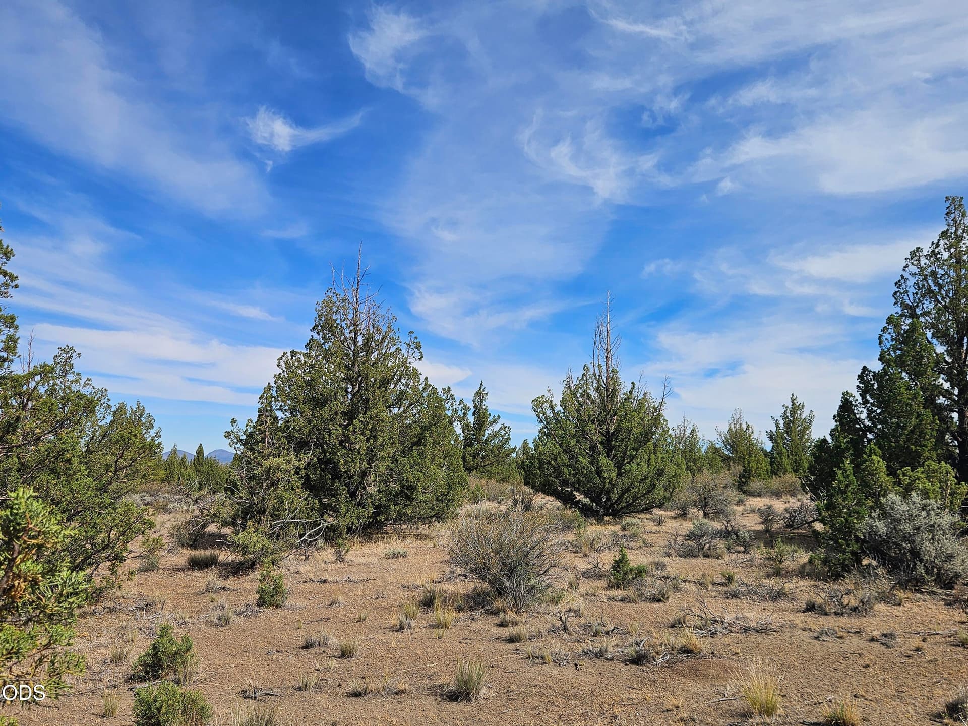 20260620_101338. Photo 4 of 9, 253 NW Maple Lane, Prineville, OR 97754