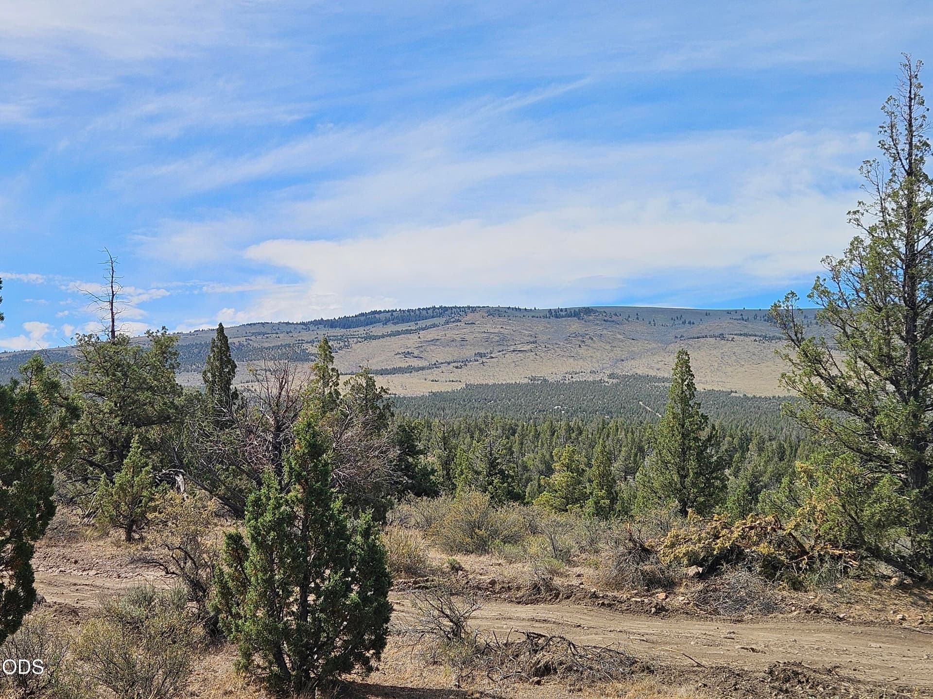 20260620_101418. Photo 5 of 9, 253 NW Maple Lane, Prineville, OR 97754