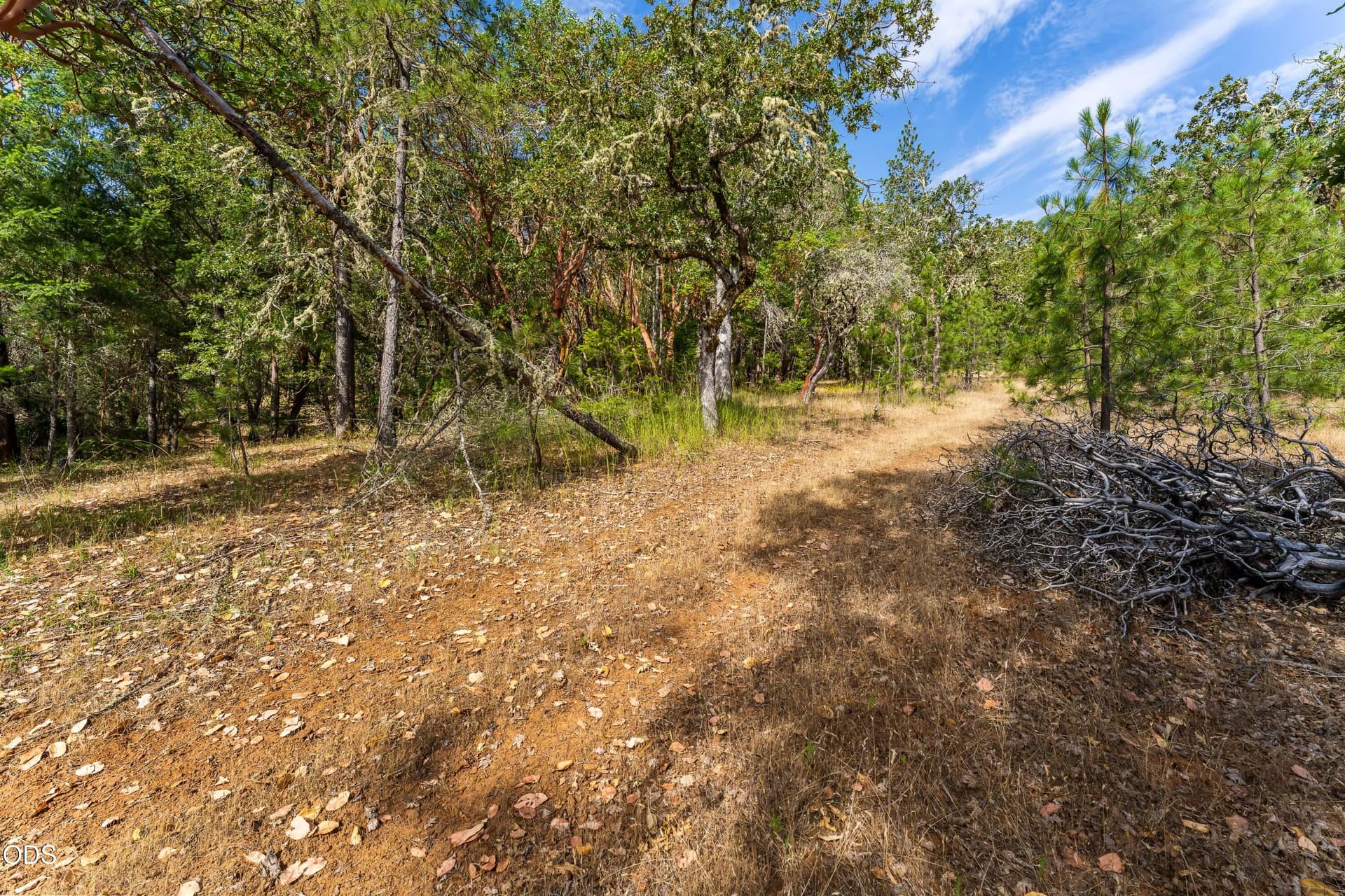Potential Homesite. Photo 4 of 9, 1230 W Jones Creek Road Unit Lot 3, Grants Pass, OR 97526