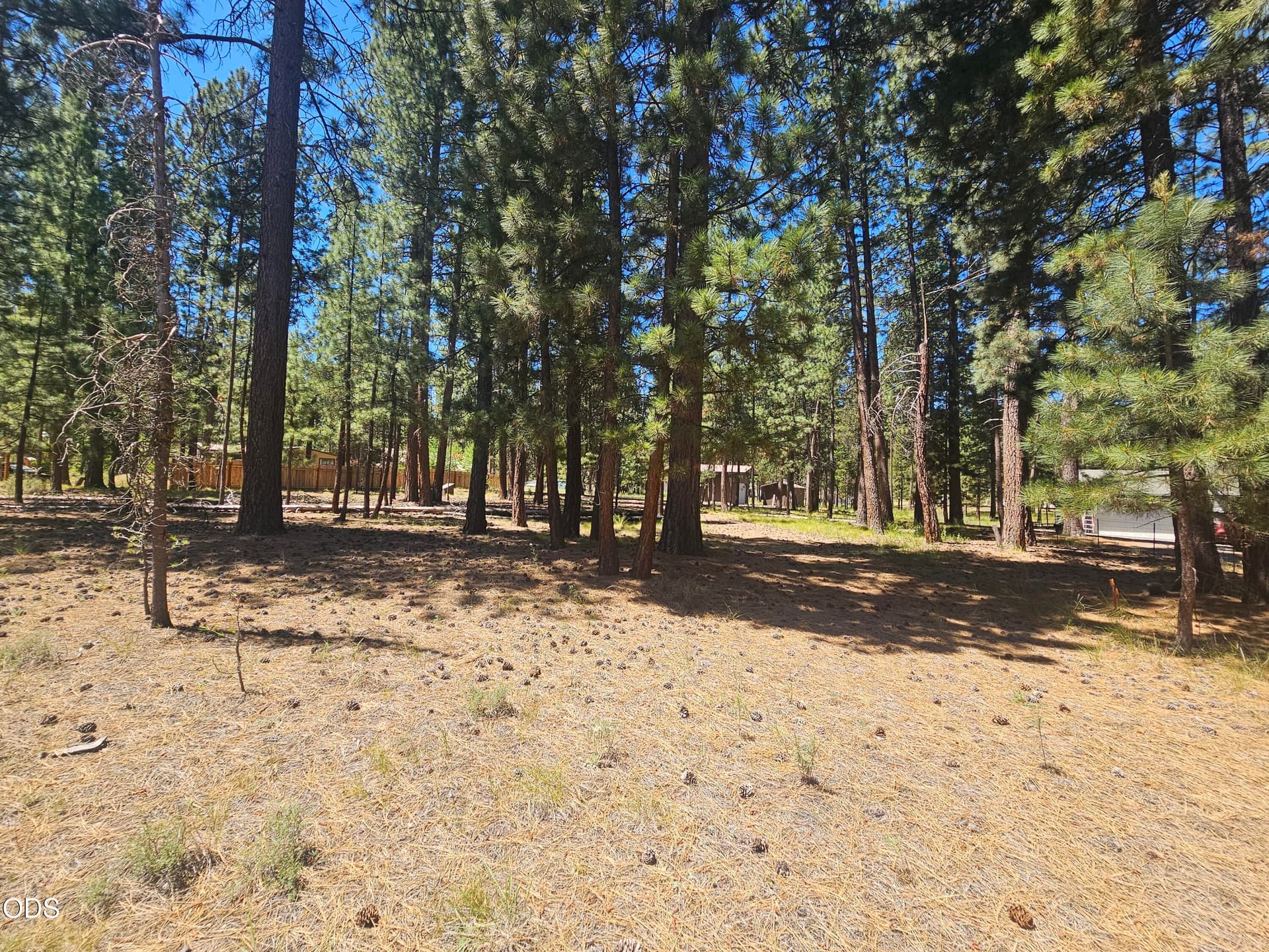 jory ground 3. Photo 5 of 10, 51453 Jory Road, La Pine, OR 97739