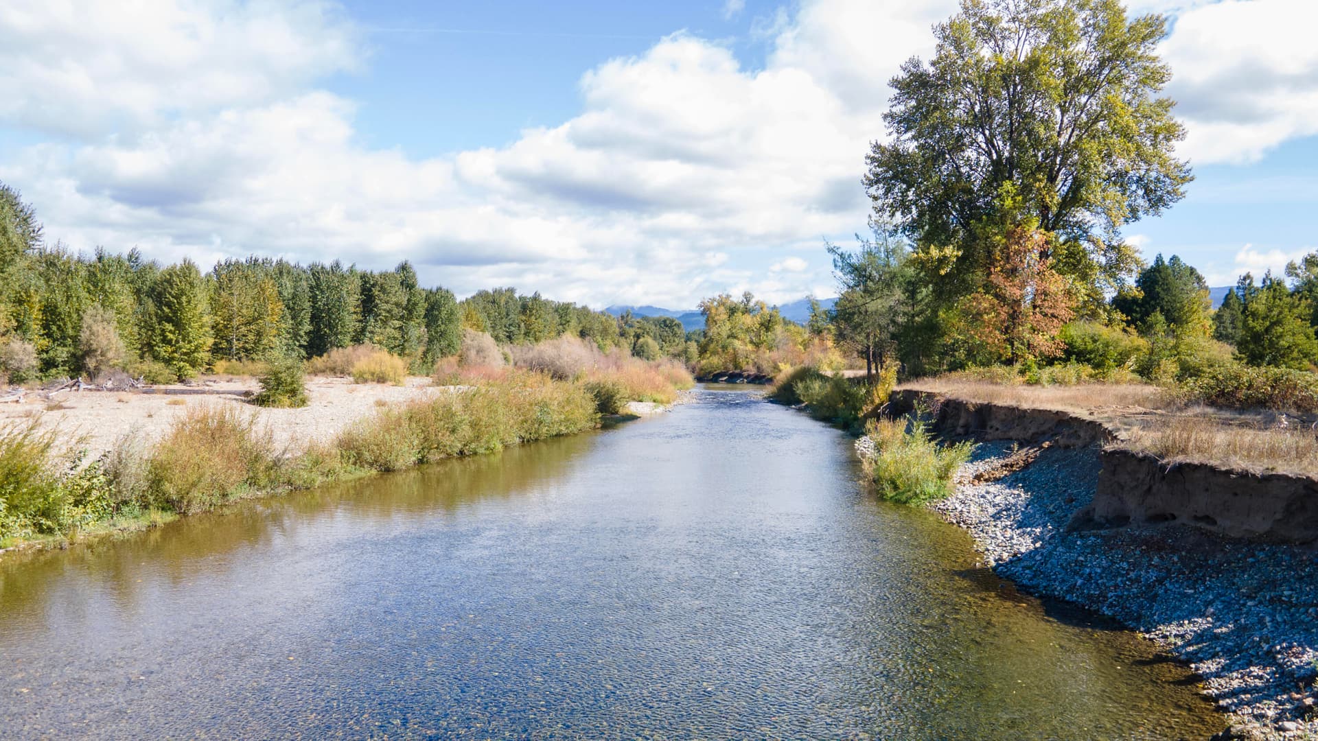 26-print-pine-cone-dr. Photo 3 of 23, 644 Pine Cone Drive, Cave Junction, OR 97523