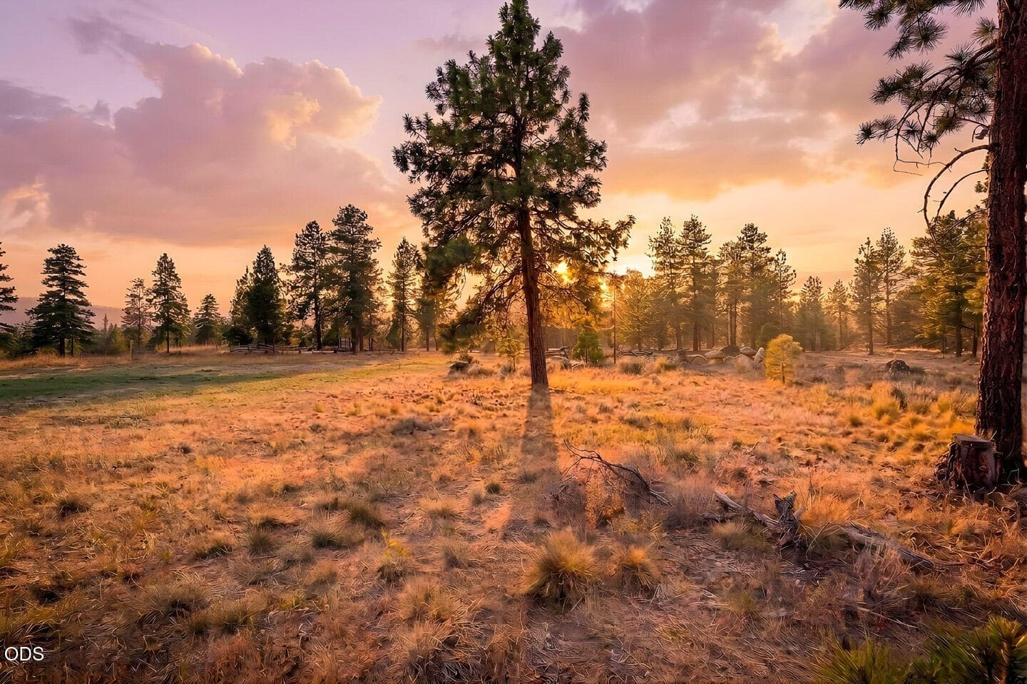 Enhanced Landscape. Photo 3 of 31, 18705 Tumalo Reservoir Road, Bend, OR 97703