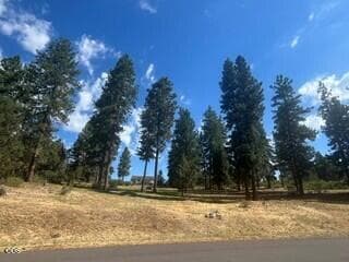 Lot 1009 4. Photo 2 of 5, 0 Turnstone Drive Unit Lot 1009, Klamath Falls, OR 97601