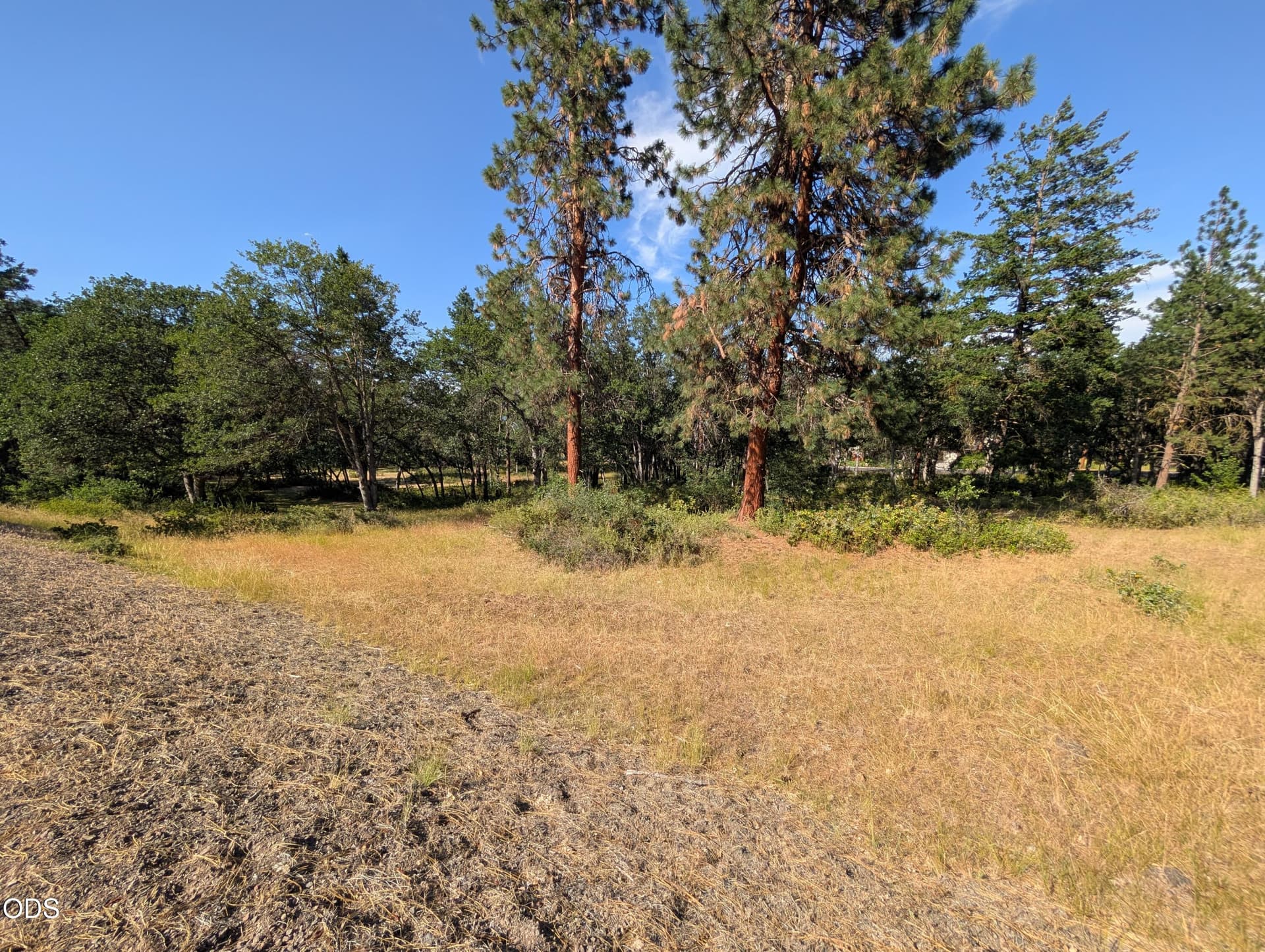1000012222. Photo 1 of 7, 0 Coopers Hawk Unit 881, Klamath Falls, OR 97601