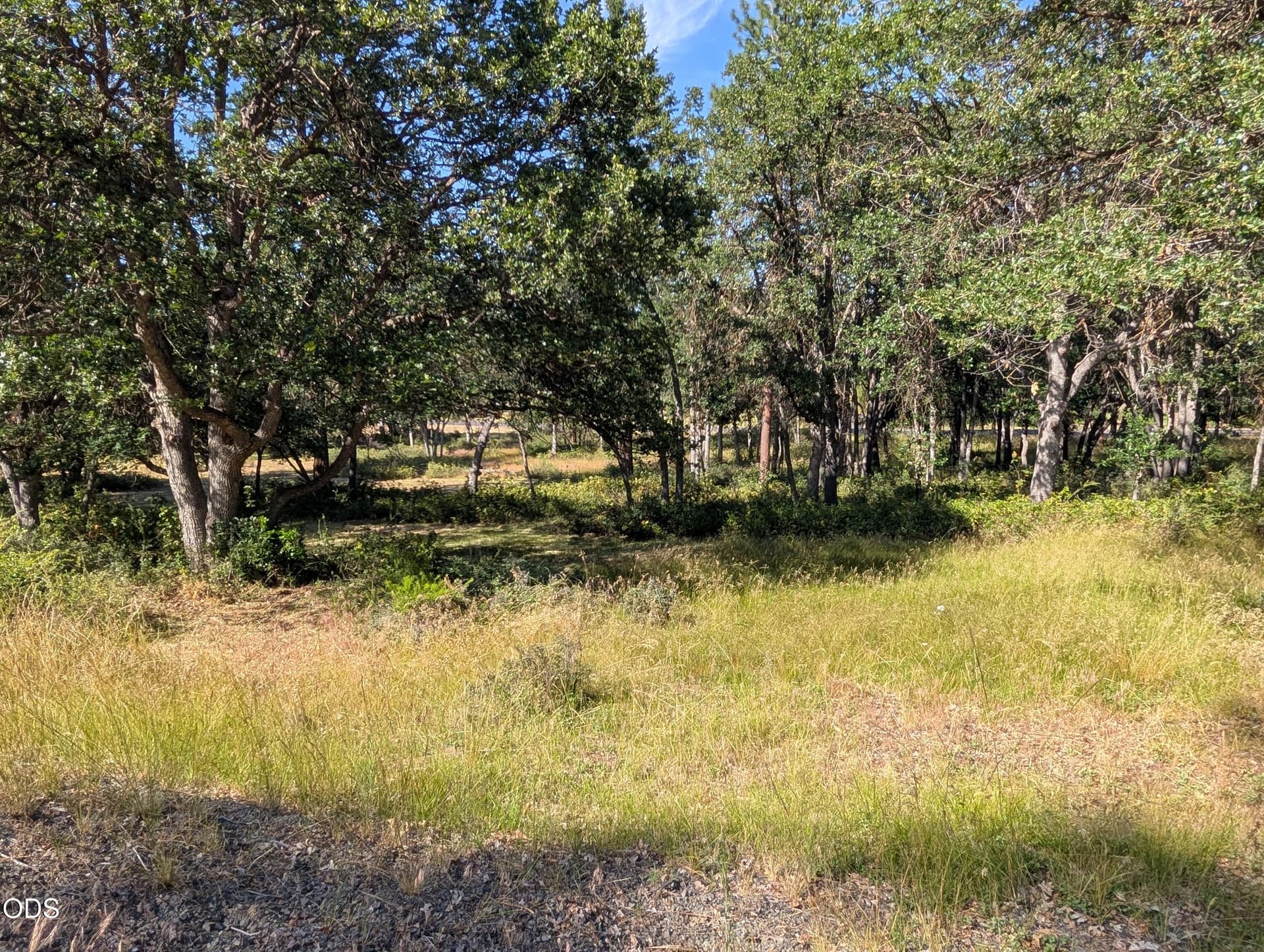 1000012225. Photo 2 of 7, 0 Coopers Hawk Unit 881, Klamath Falls, OR 97601