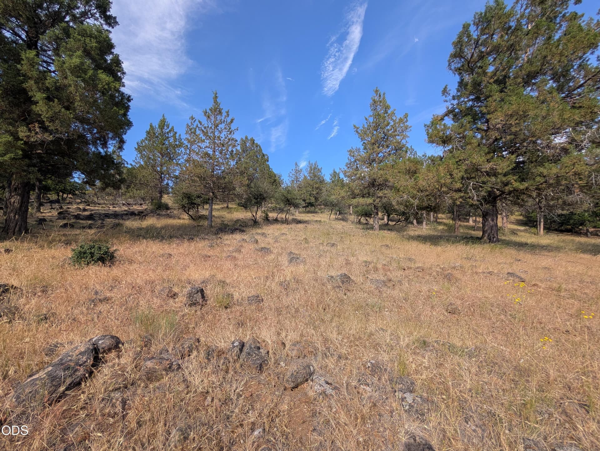 1000012228. Photo 1 of 5, 0 Kestrel Unit 711, Klamath Falls, OR 97601