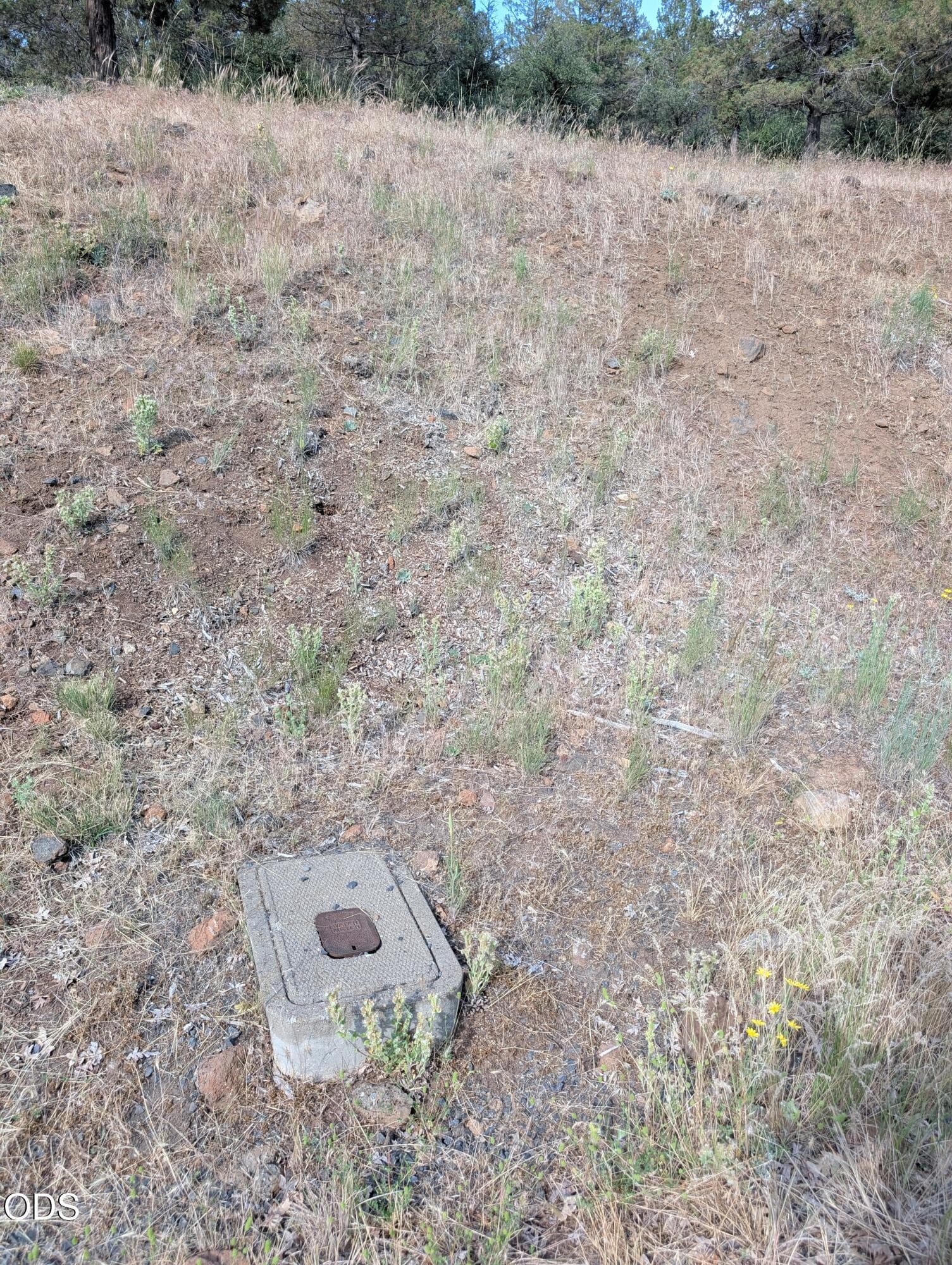 1000012227. Photo 4 of 5, 0 Kestrel Unit 711, Klamath Falls, OR 97601