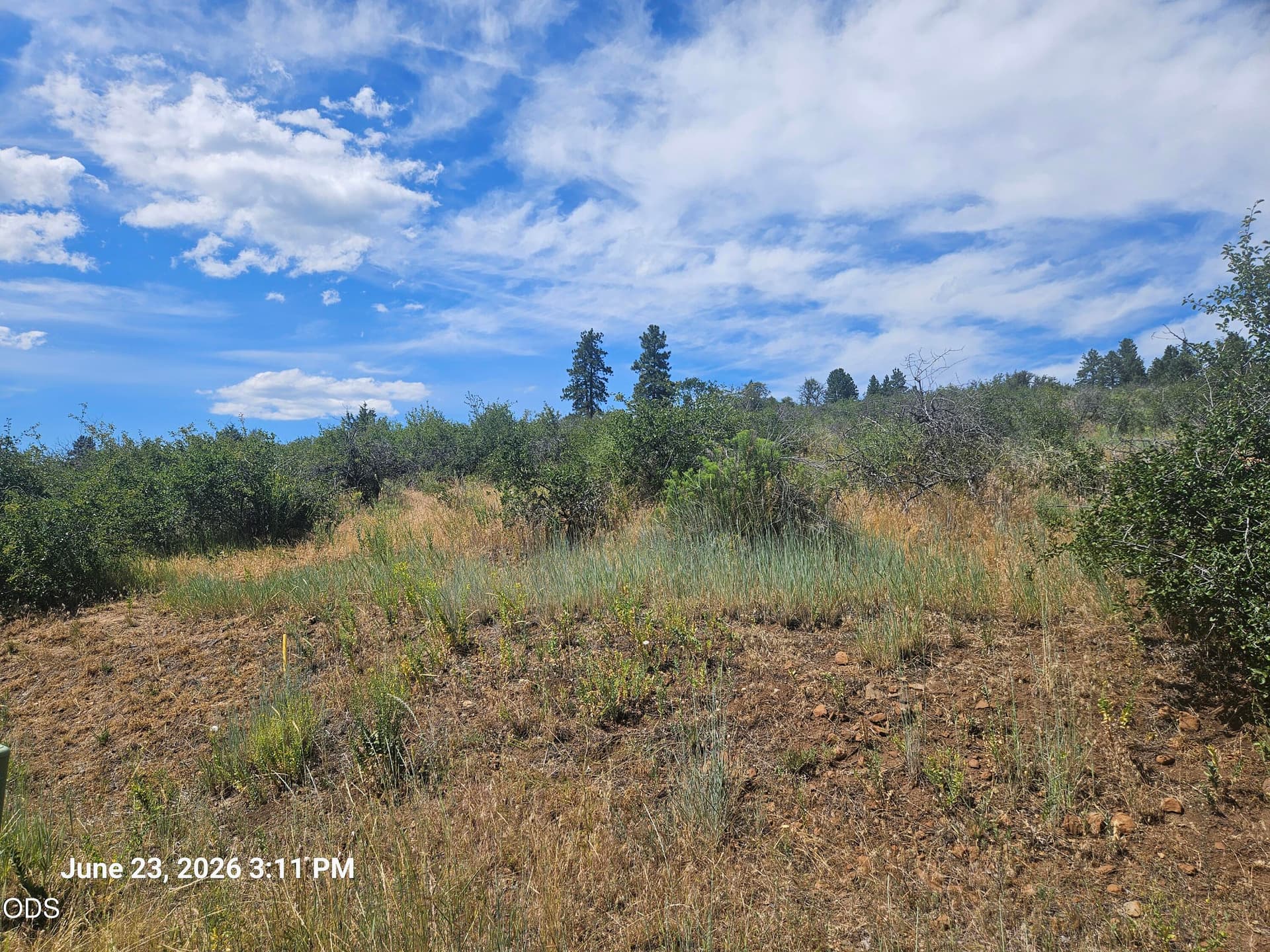 20260623_151132. Photo 1 of 6, 0 Crossbill Drive Unit 1054, Klamath Falls, OR 97601